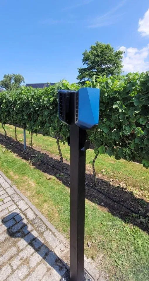 Garden in Abalona Hotel & Apartments