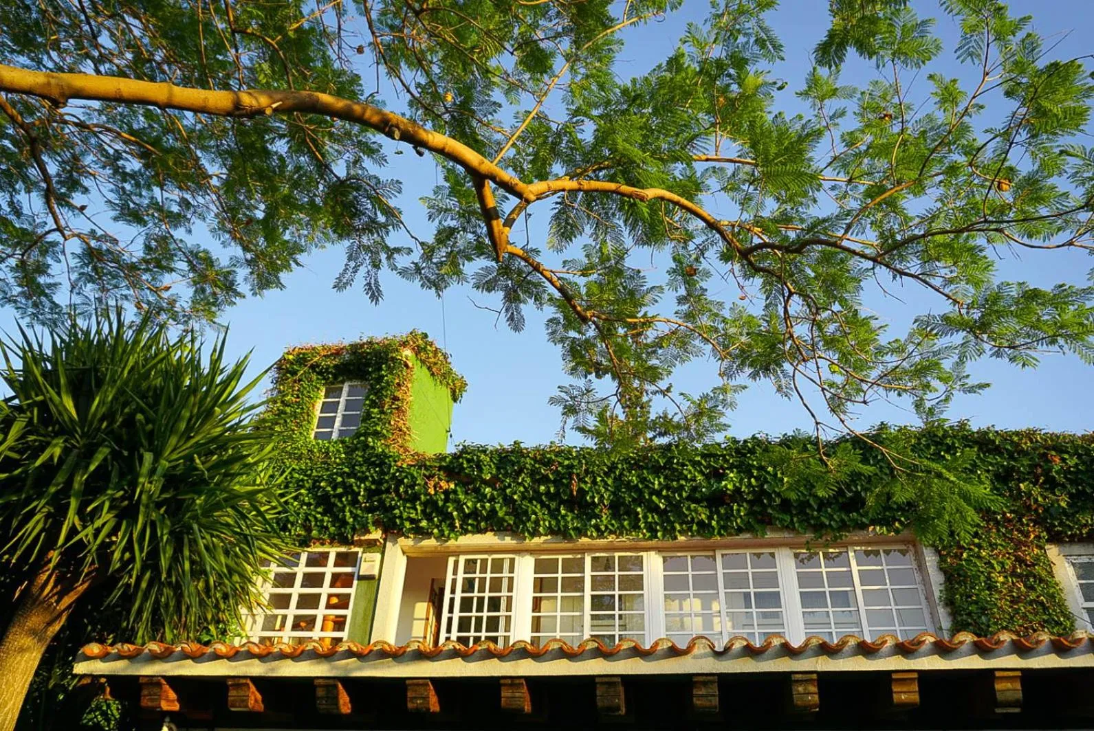 Property building in La Casa Verde