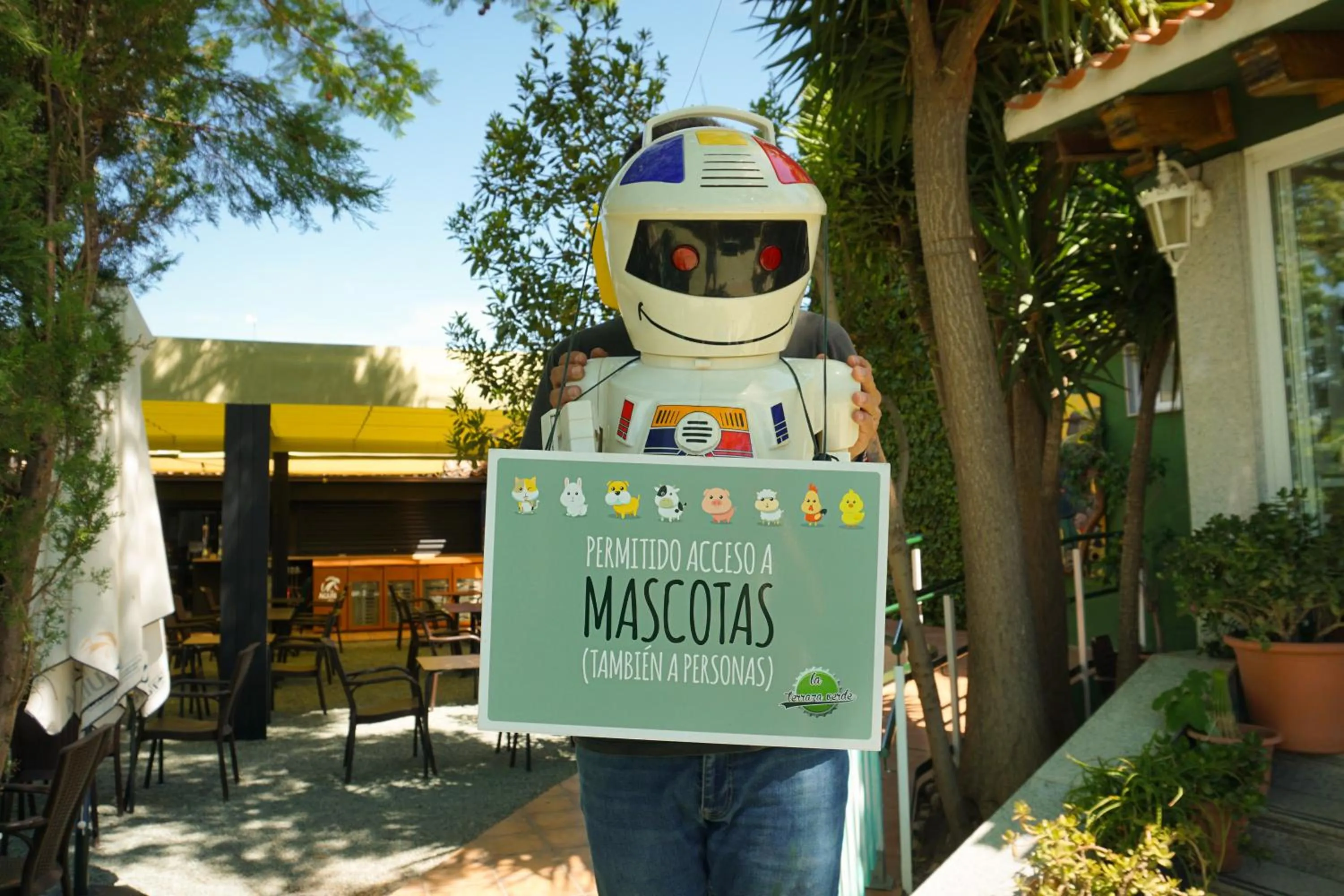 Day in La Casa Verde