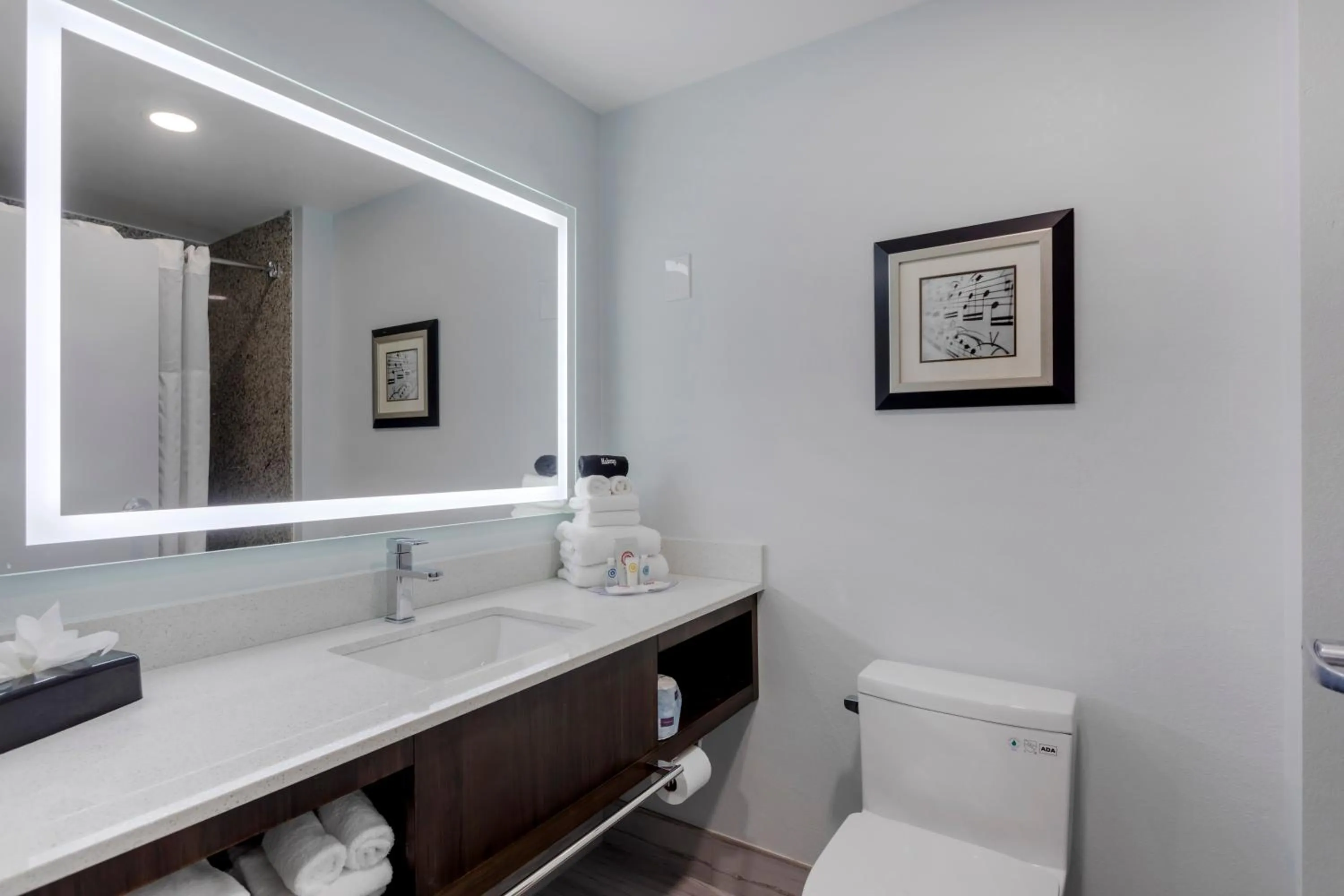 Toilet in Comfort Suites Mt Juliet-Nashville Area