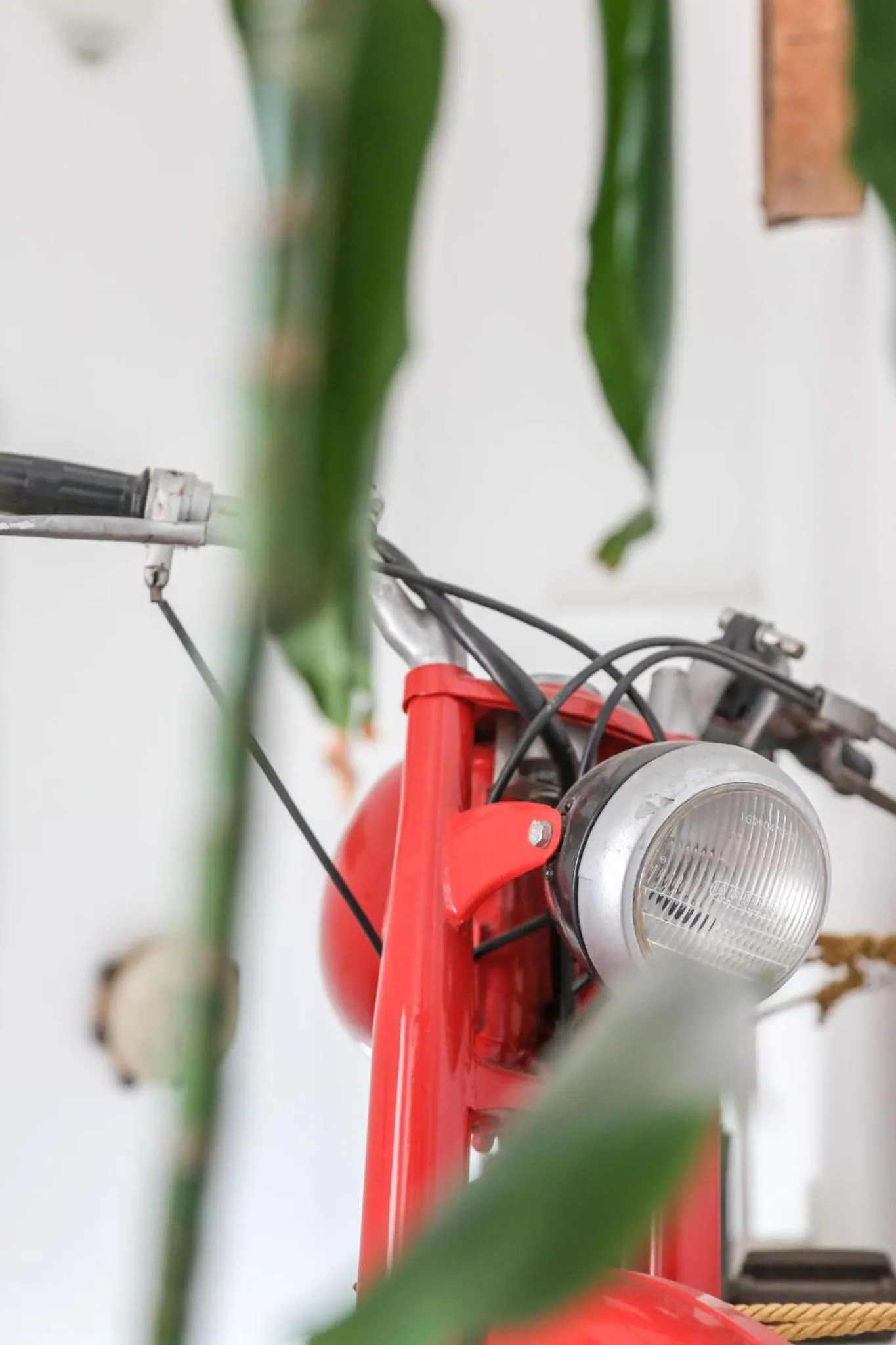 hair dresser in Blue And Blue City