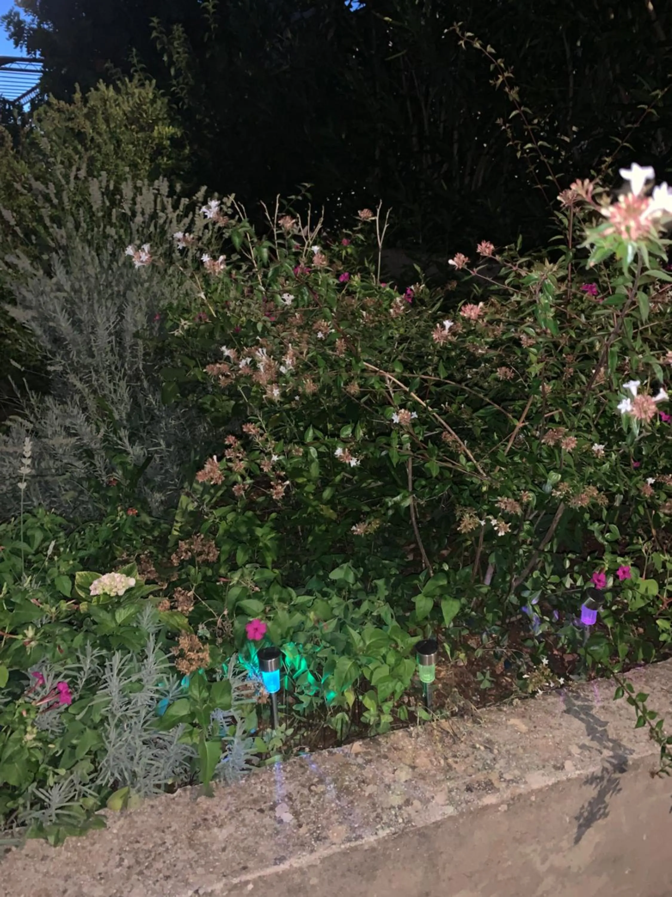 Aida Apartments and Rooms for couples and families FREE PARKING