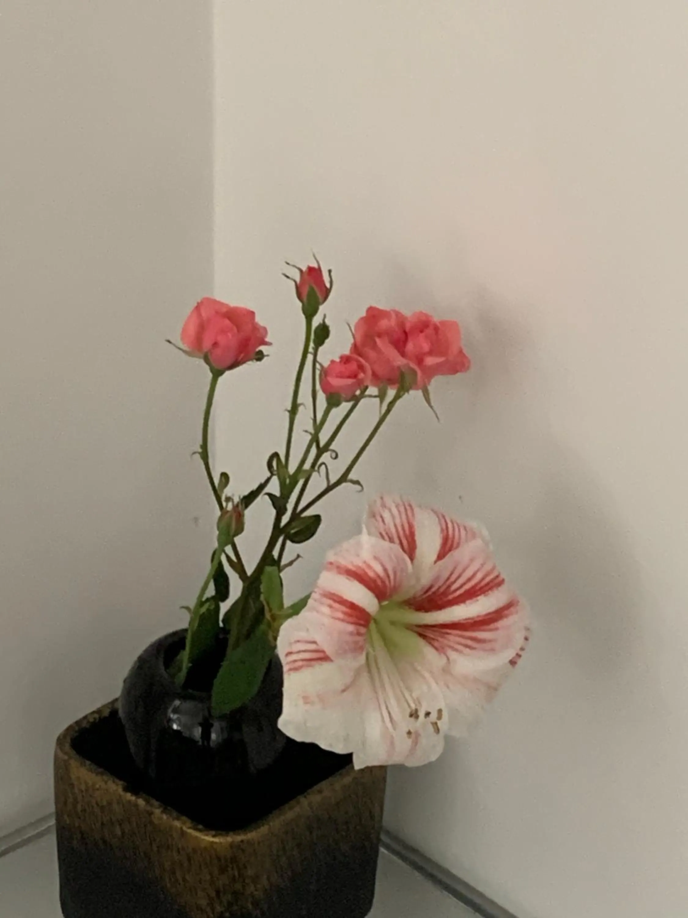 Property building in Aida Apartments and Rooms for couples and families FREE PARKING