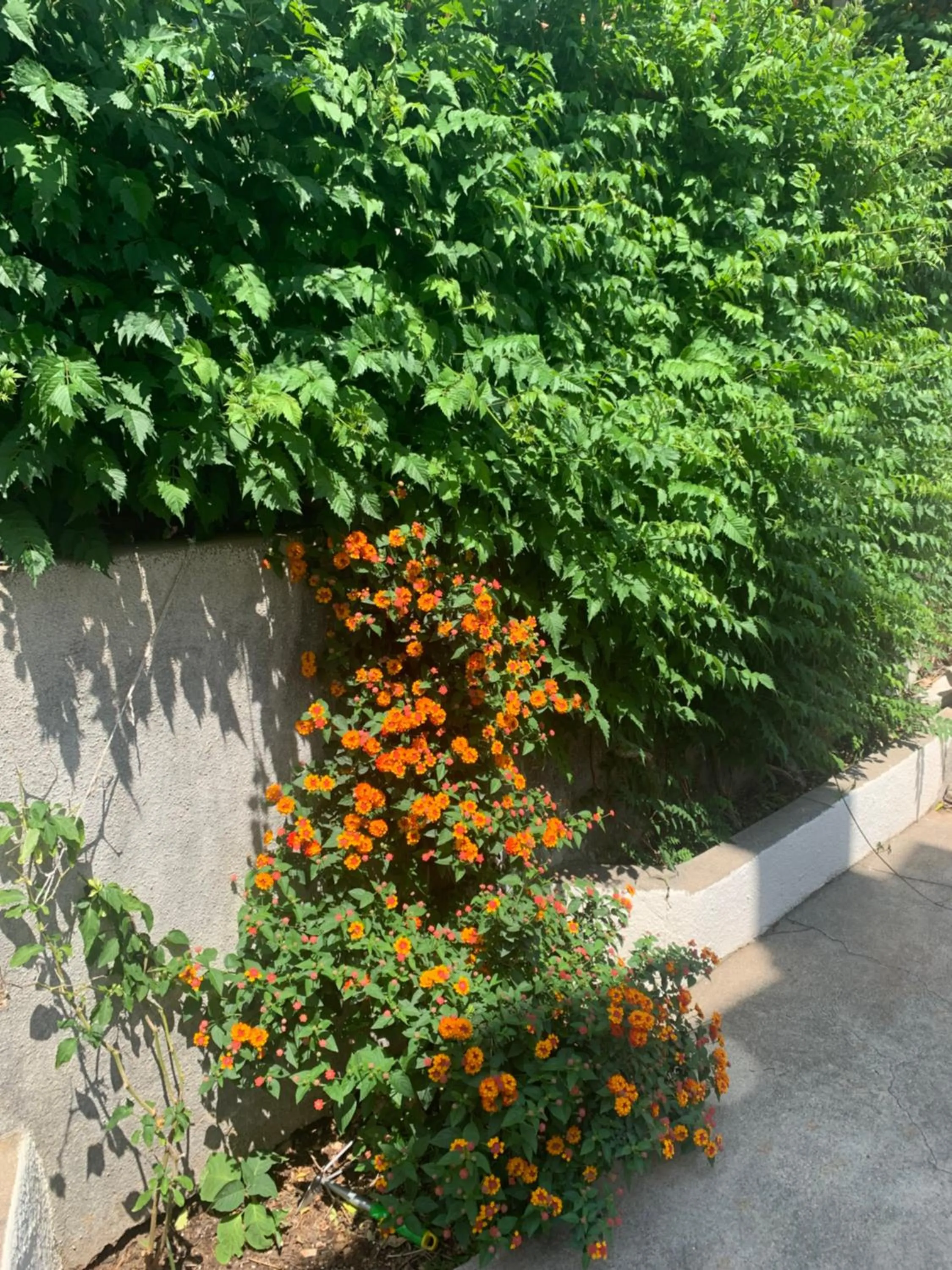 Aida Apartments and Rooms for couples and families FREE PARKING