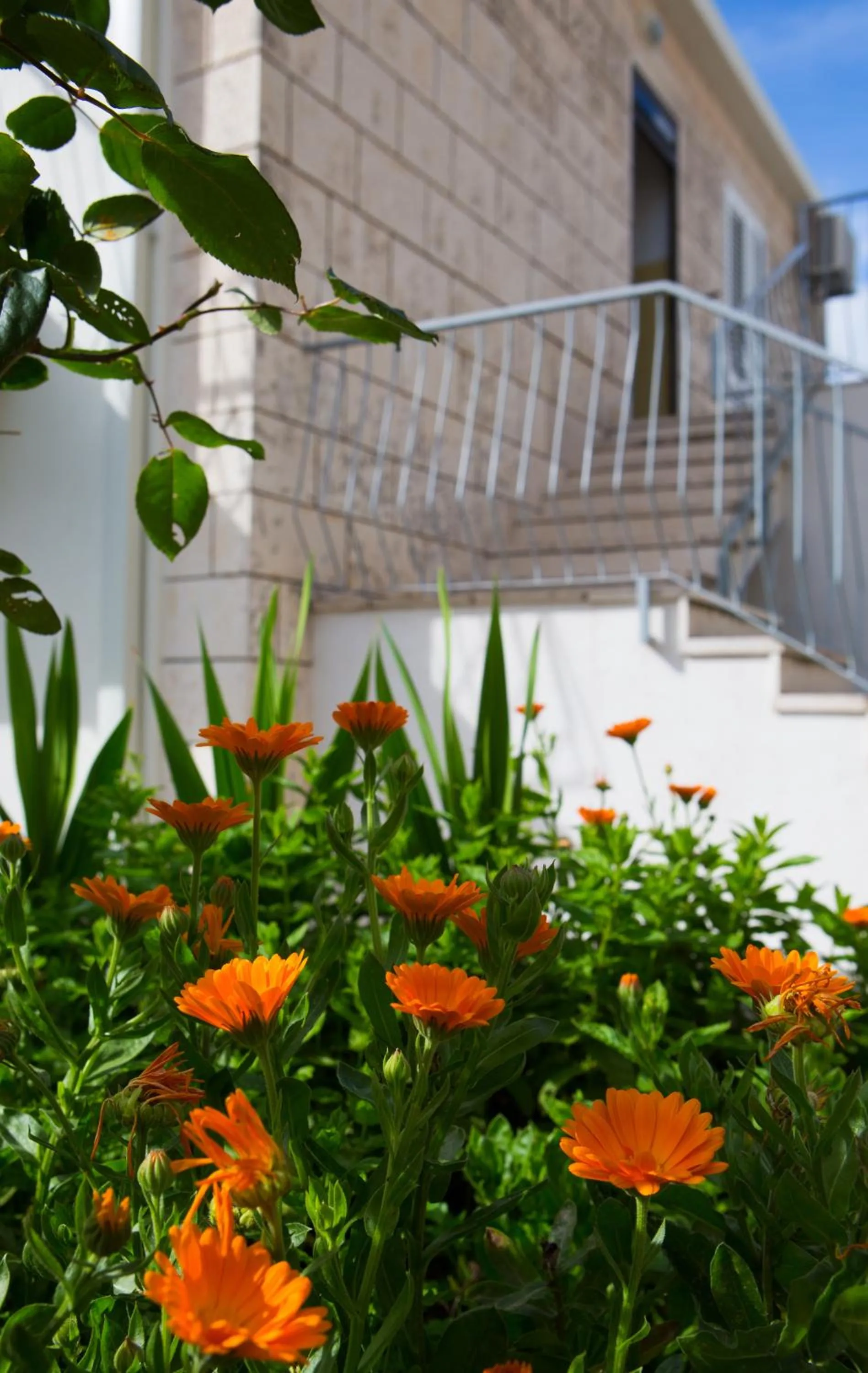 Other in Aida Apartments and Rooms for couples and families FREE PARKING