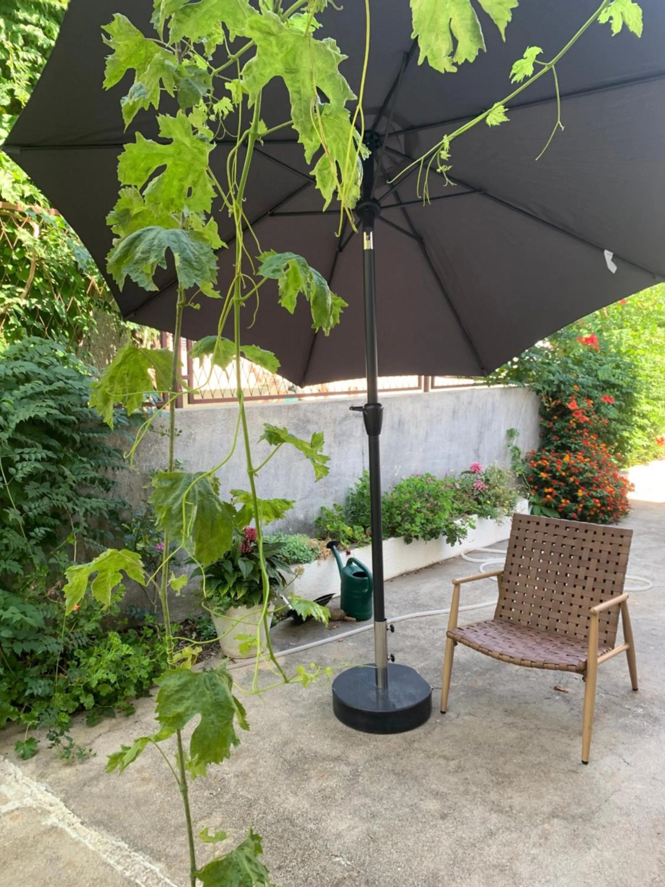 Aida Apartments and Rooms for couples and families FREE PARKING