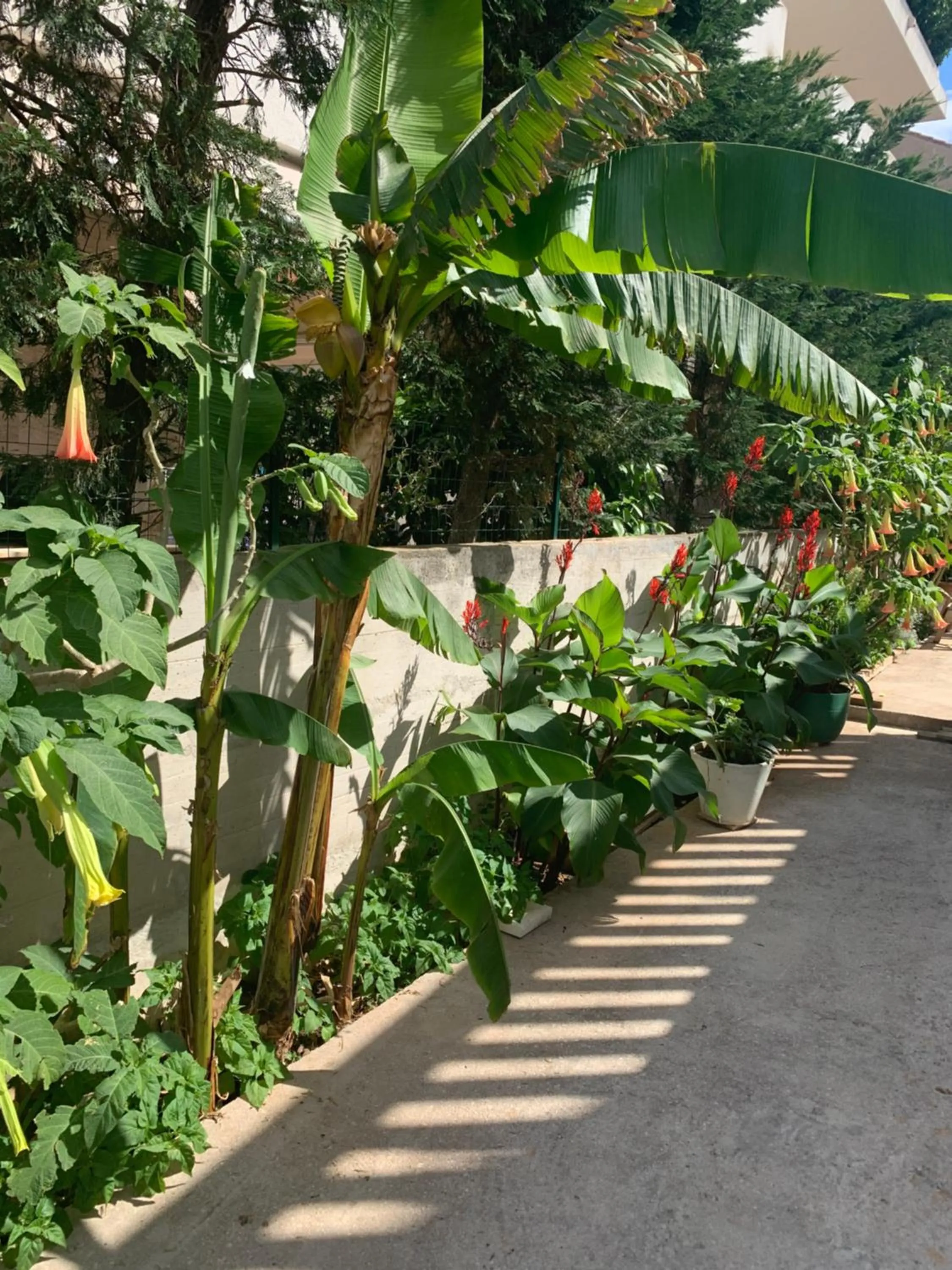 Patio in Aida Apartments and Rooms for couples and families FREE PARKING