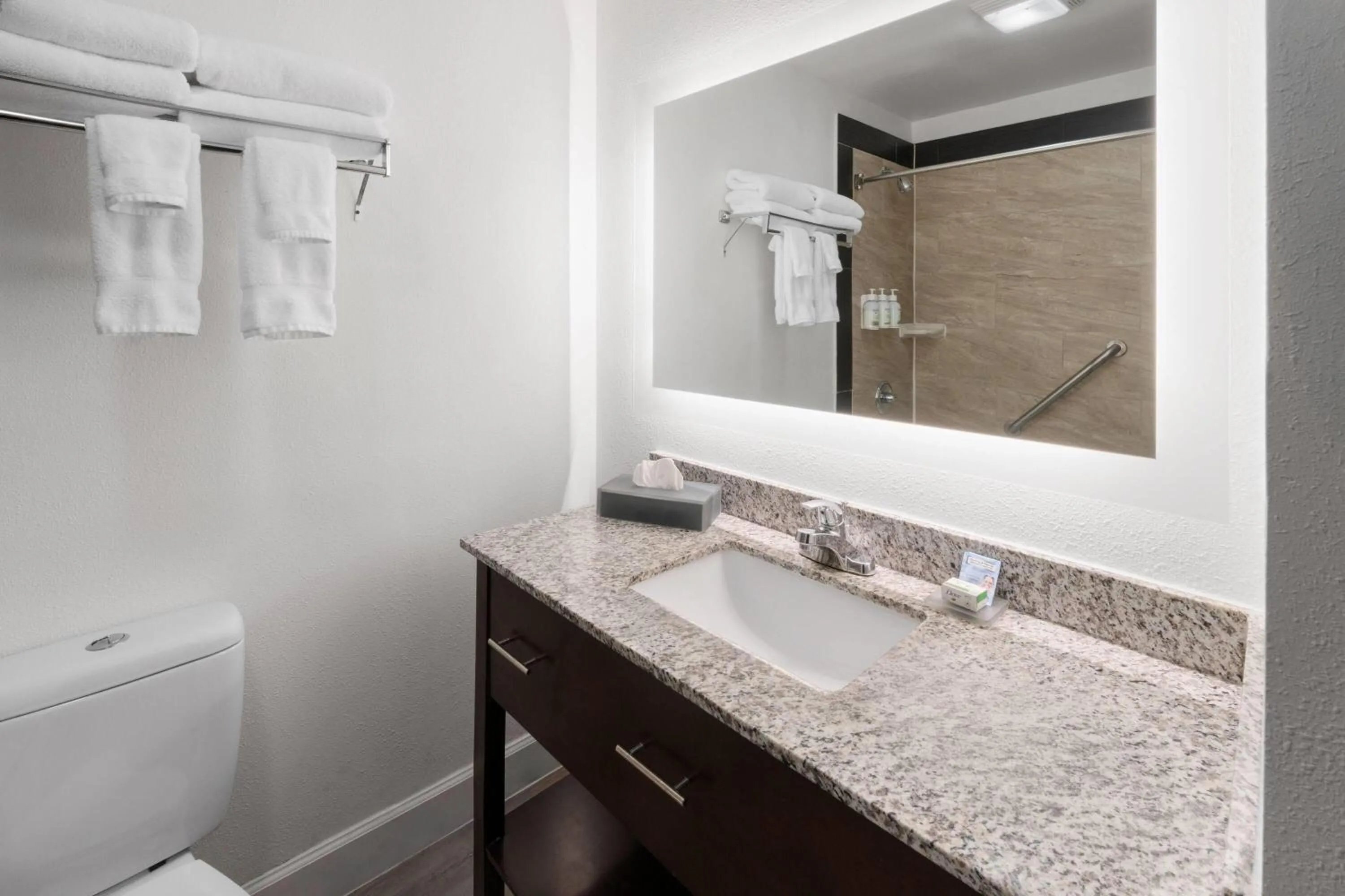 Bathroom in La Quinta Inn & Suites by Wyndham Fort Collins, Colorado