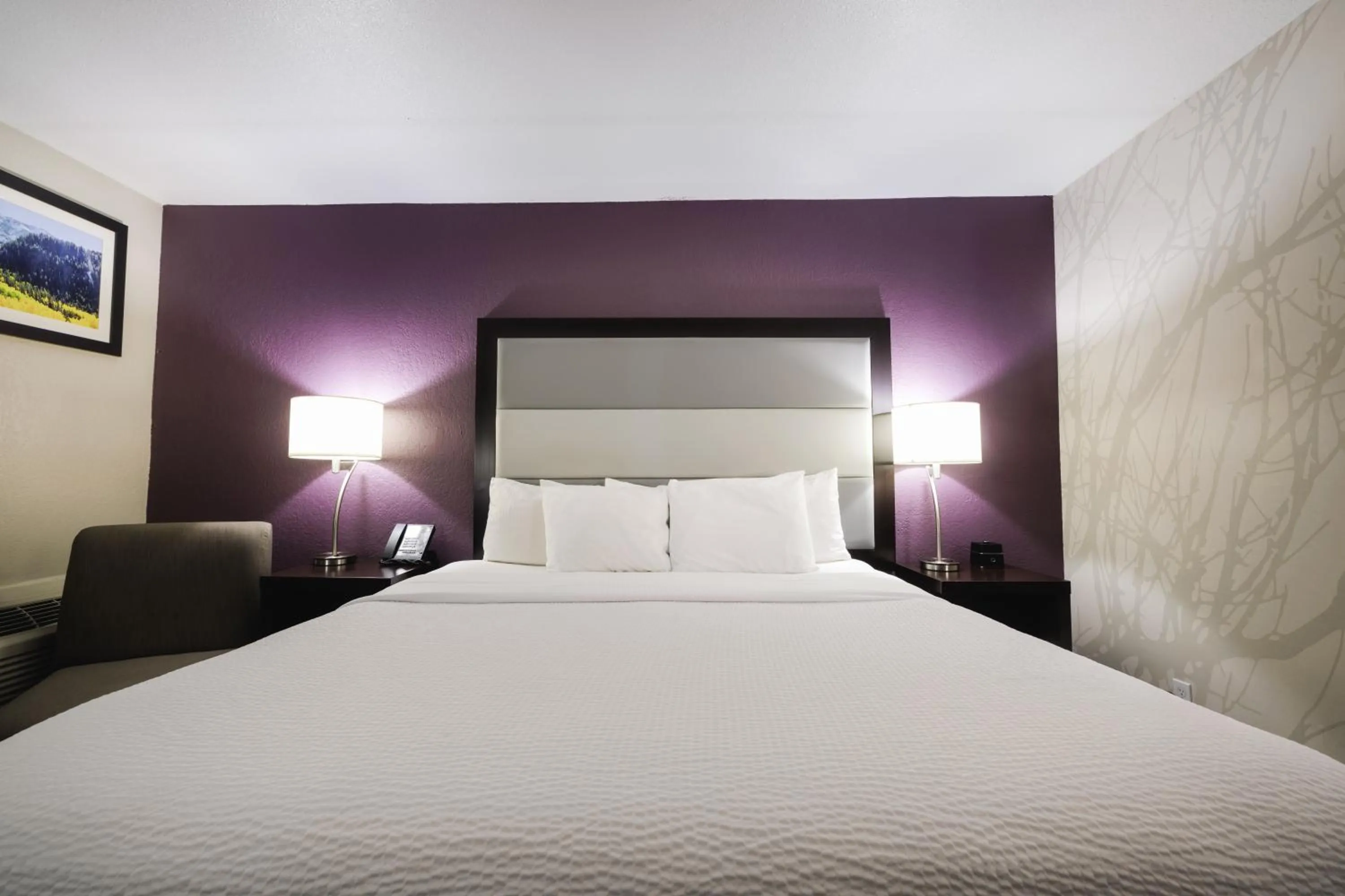 Photo of the whole room, Bed in La Quinta Inn & Suites by Wyndham Fort Collins, Colorado