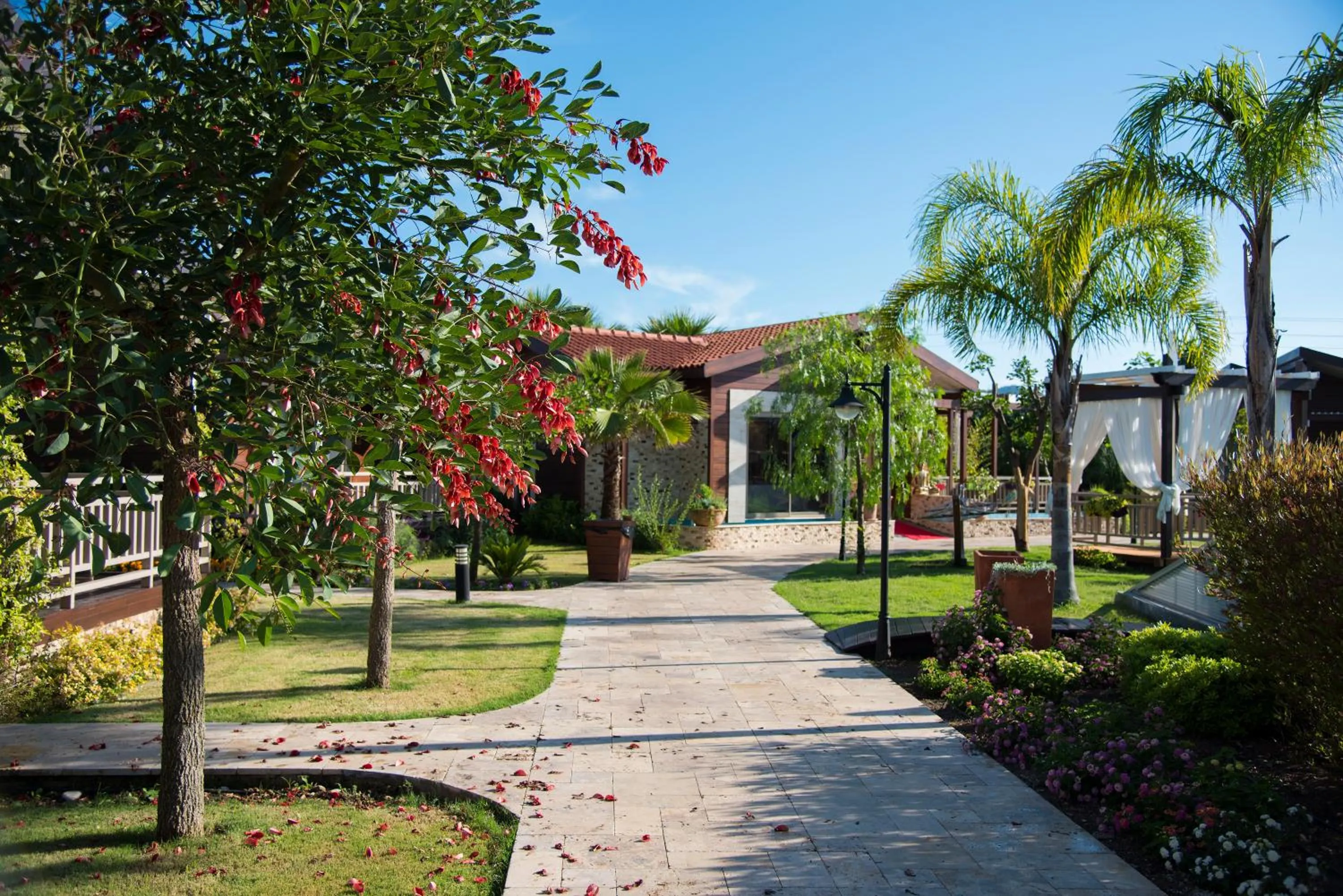 Summer in Kimera Lounge Boutique Hotel & Spa