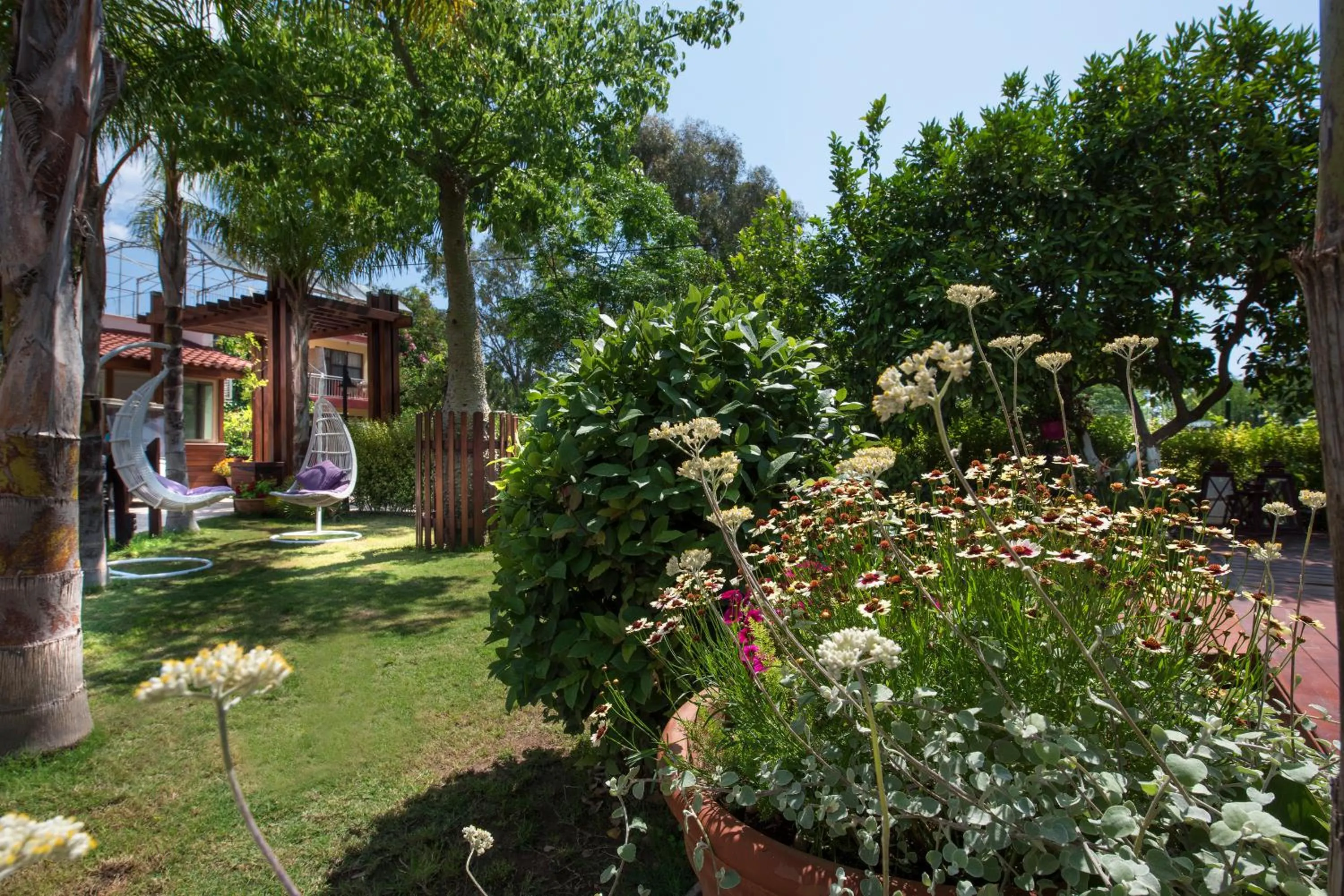 Garden in Kimera Lounge Boutique Hotel & Spa