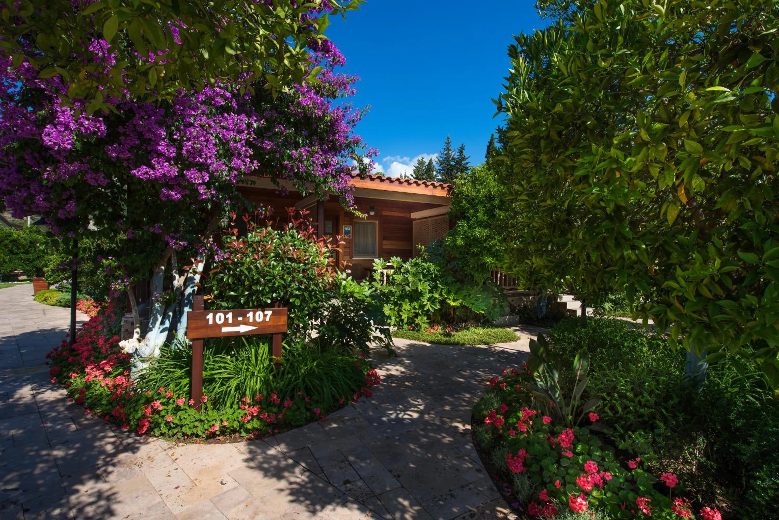 Photo of the whole room in Kimera Lounge Boutique Hotel & Spa