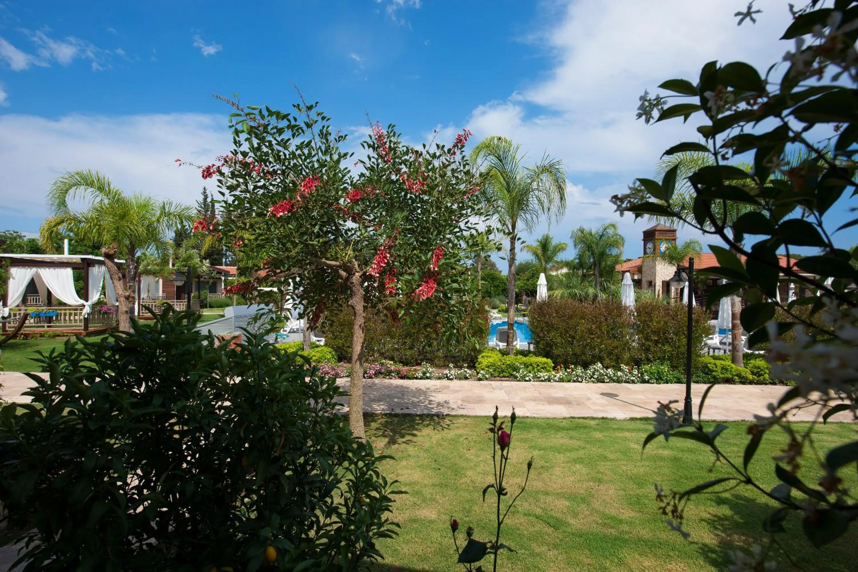 Garden in Kimera Lounge Boutique Hotel & Spa