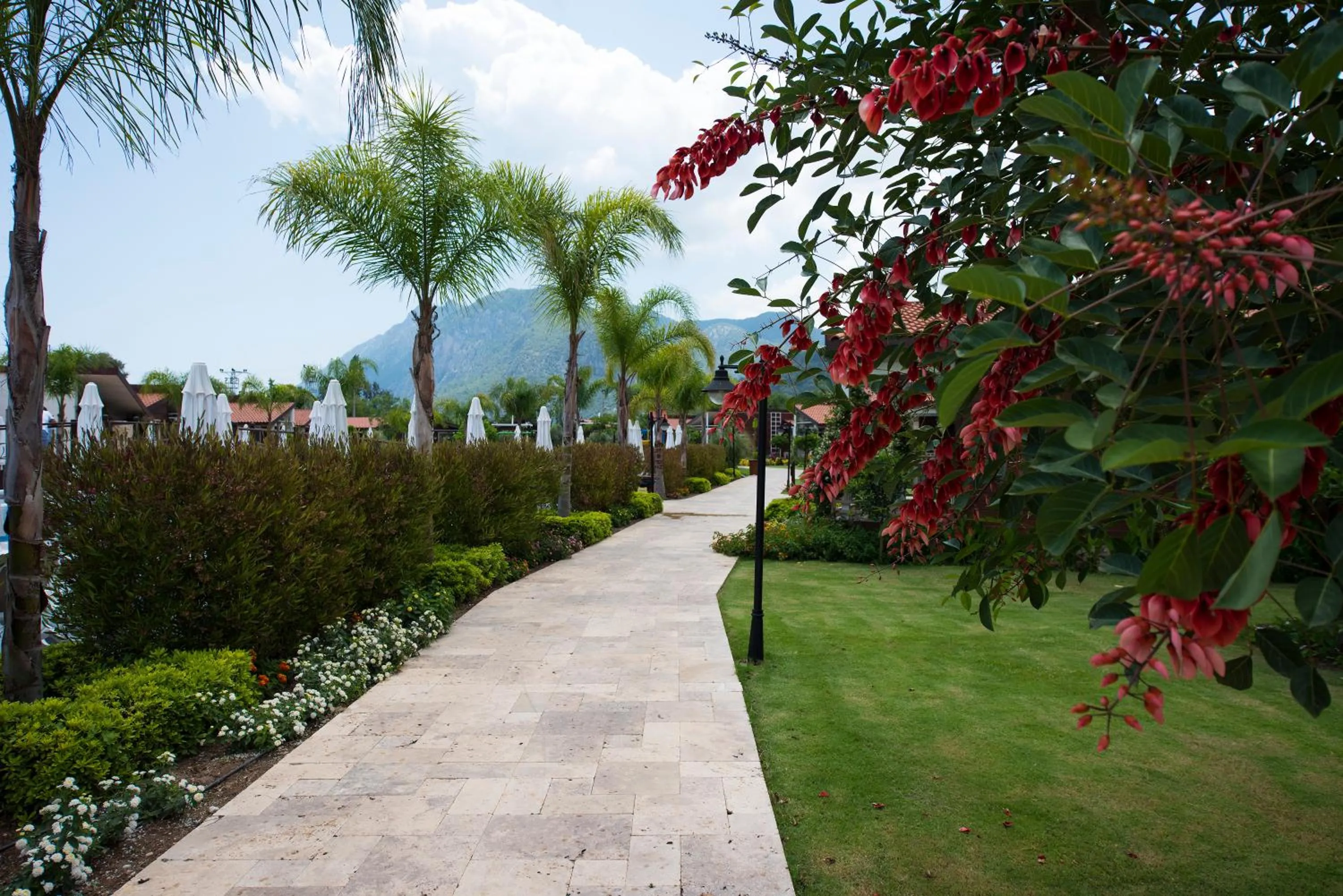 Garden in Kimera Lounge Boutique Hotel & Spa