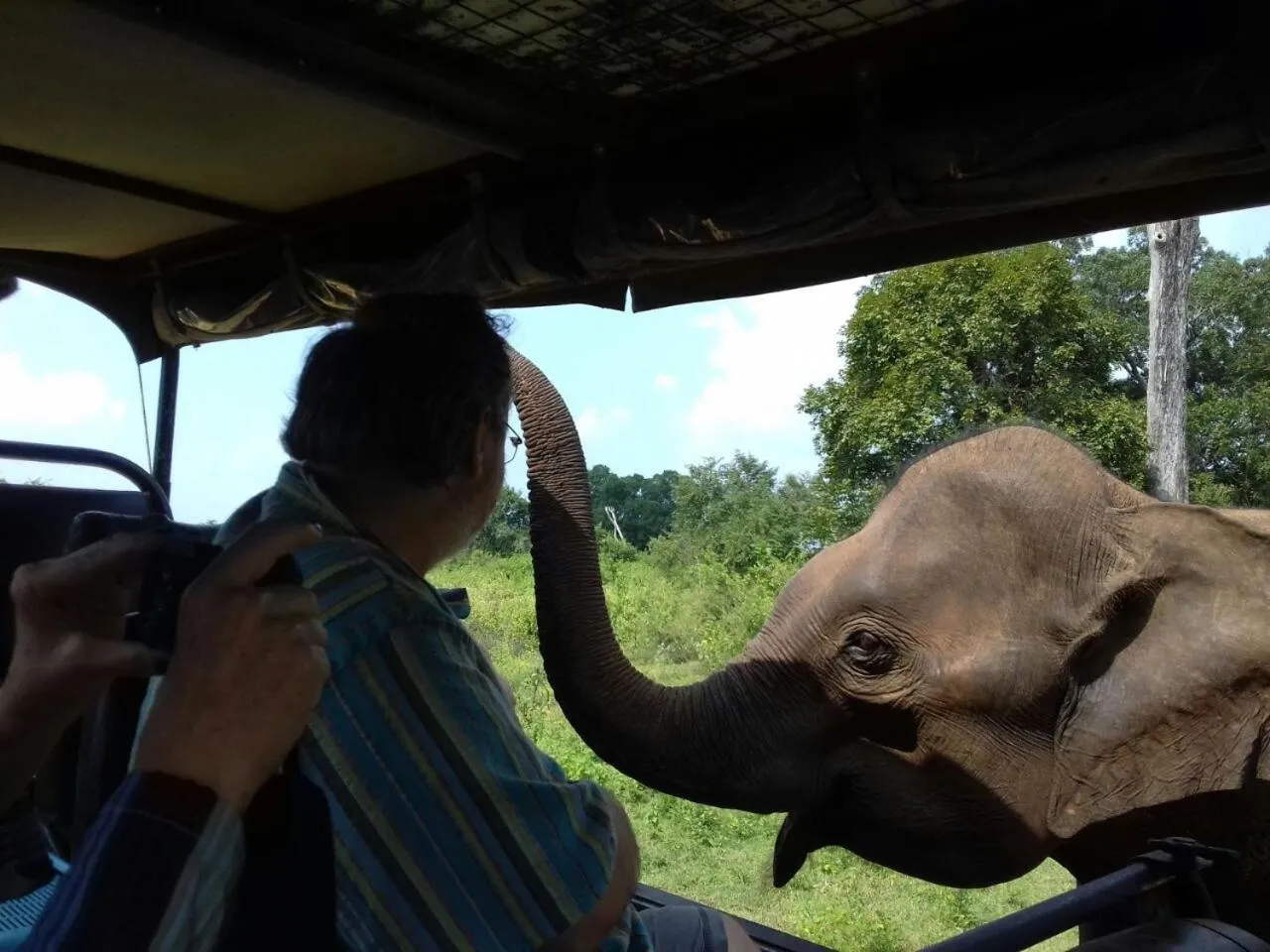 Neighbourhood in Jungle Paradise