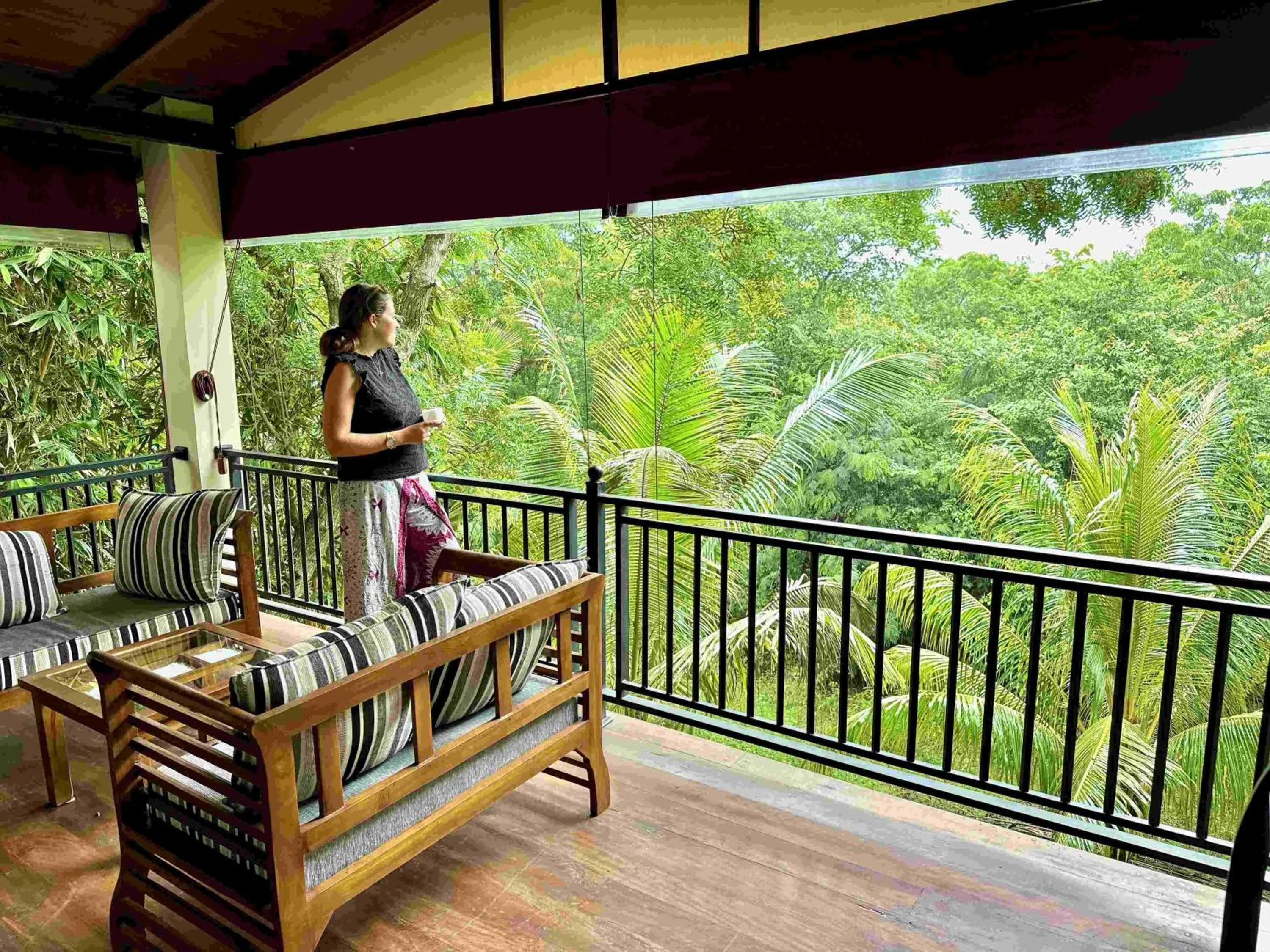 Property building in Jungle Paradise