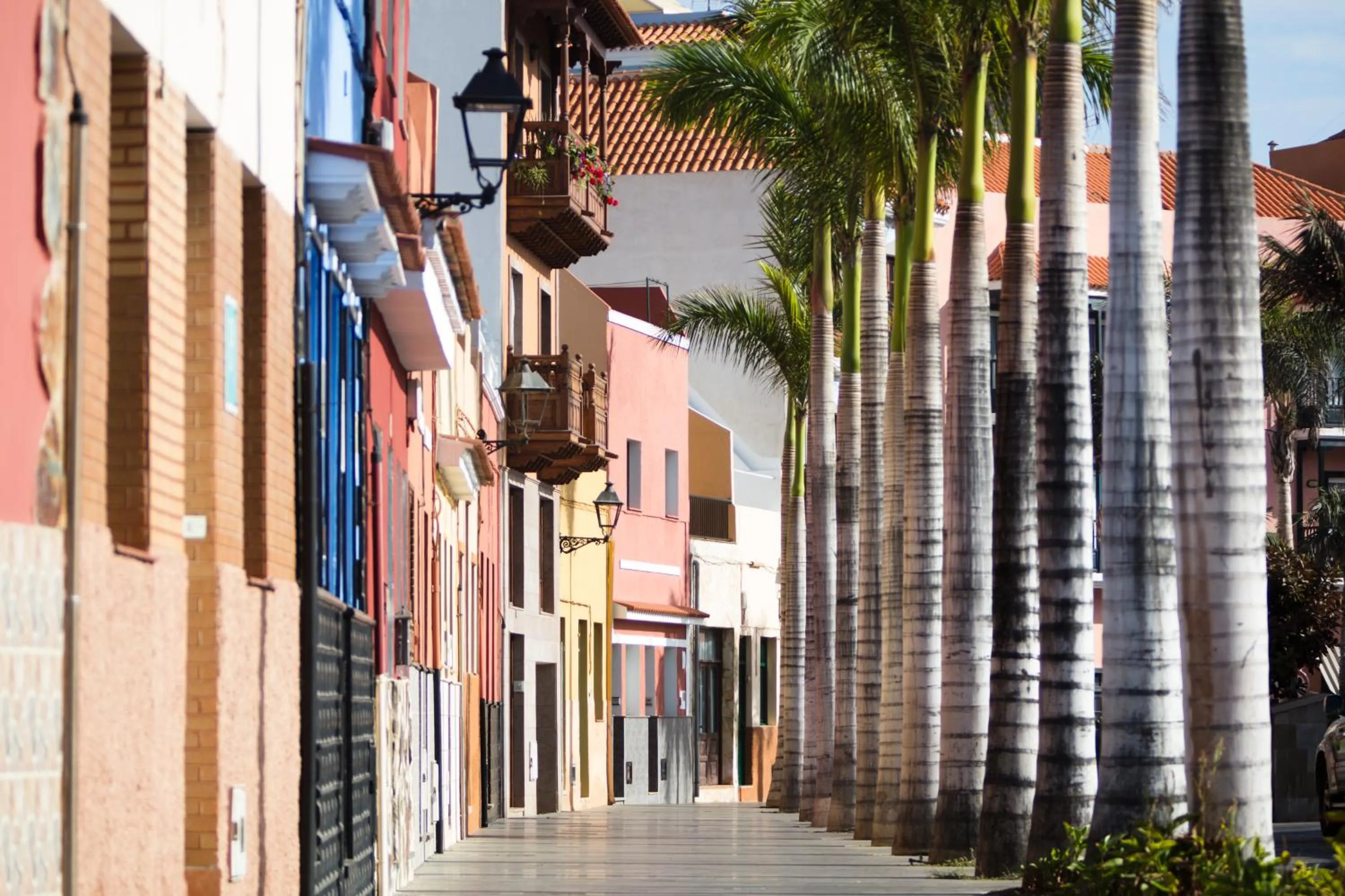 Neighbourhood in Puerto Nest Hostel