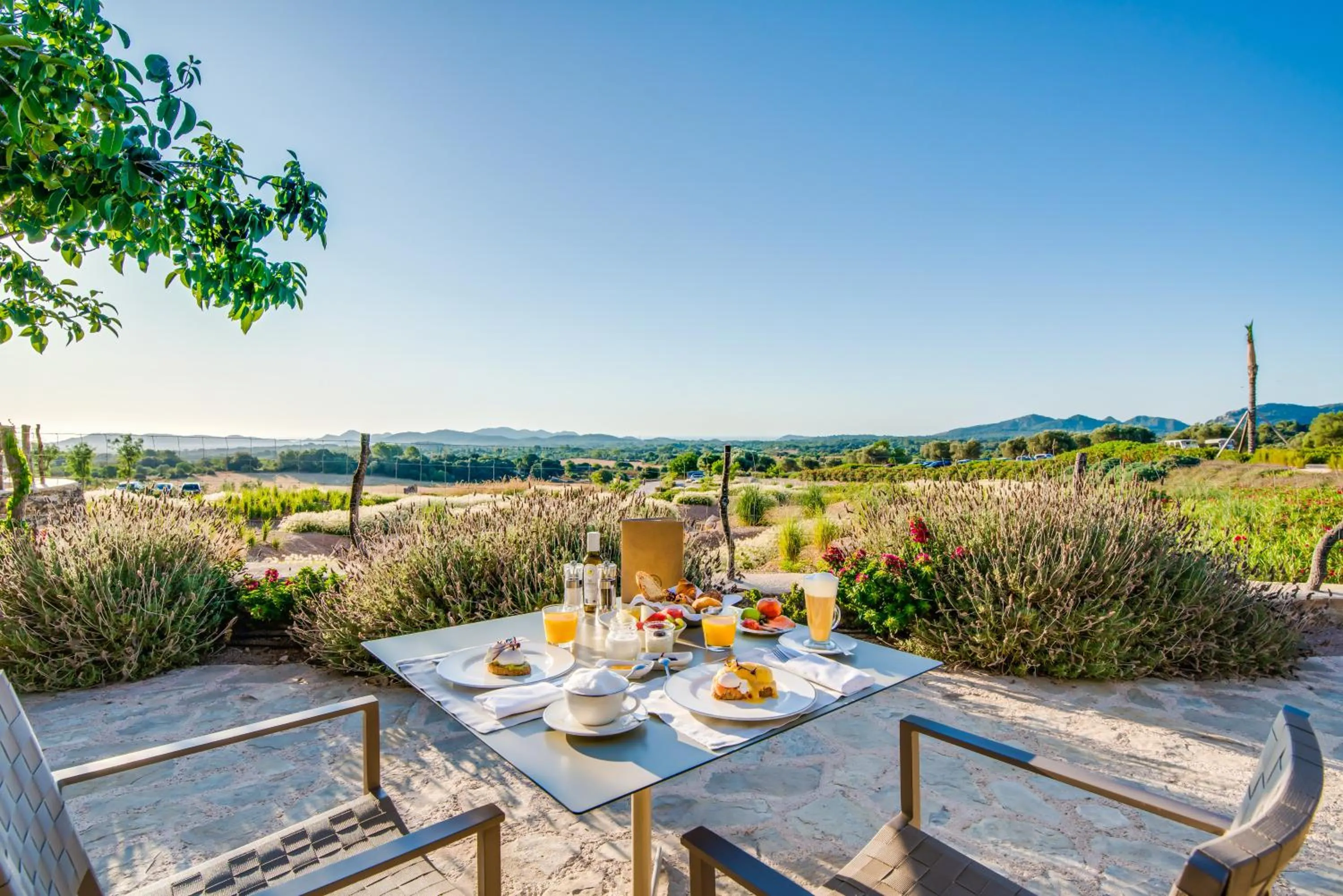 Restaurant/places to eat in Carrossa Hotel & Spa