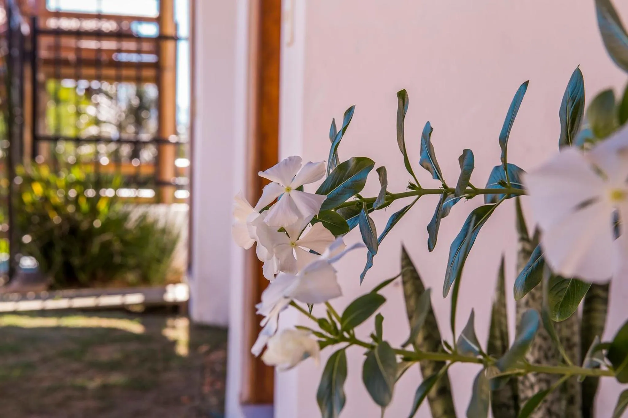 Decorative detail in Pousada Refugio da Harmonia