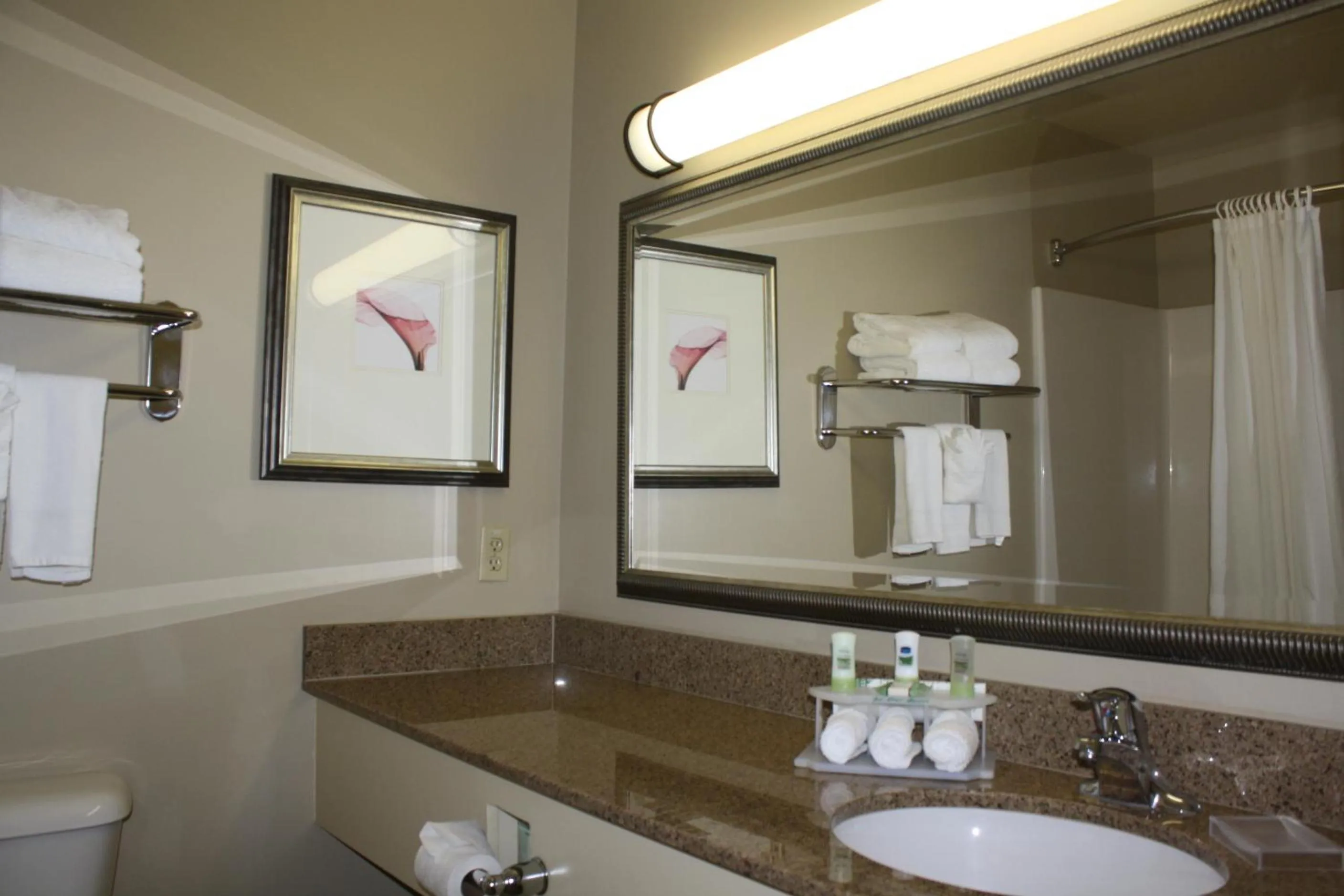 Bathroom in Country Inn & Suites by Radisson, Asheville - Outlet Mall