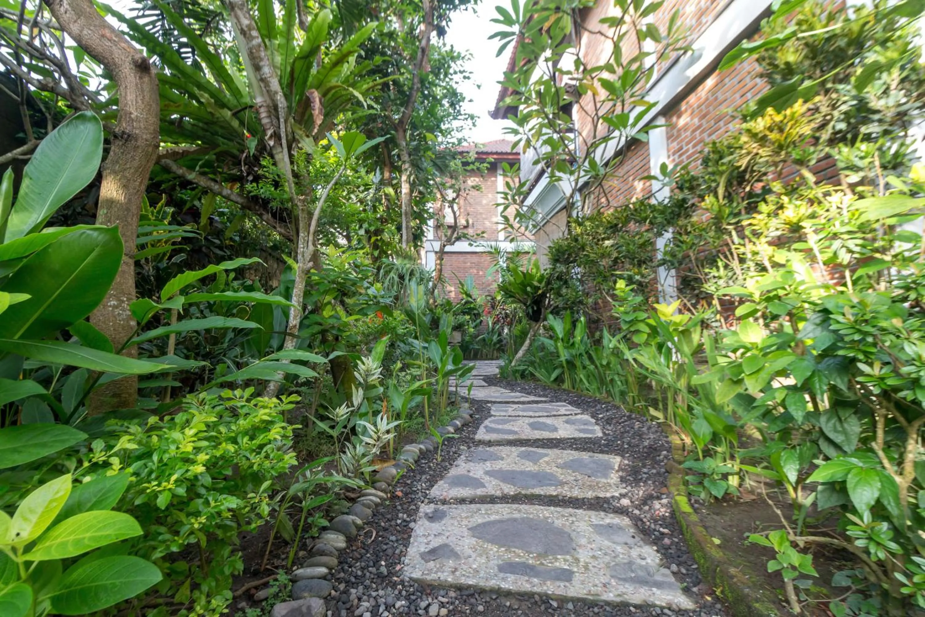 Garden in Tropical Bali Hotel