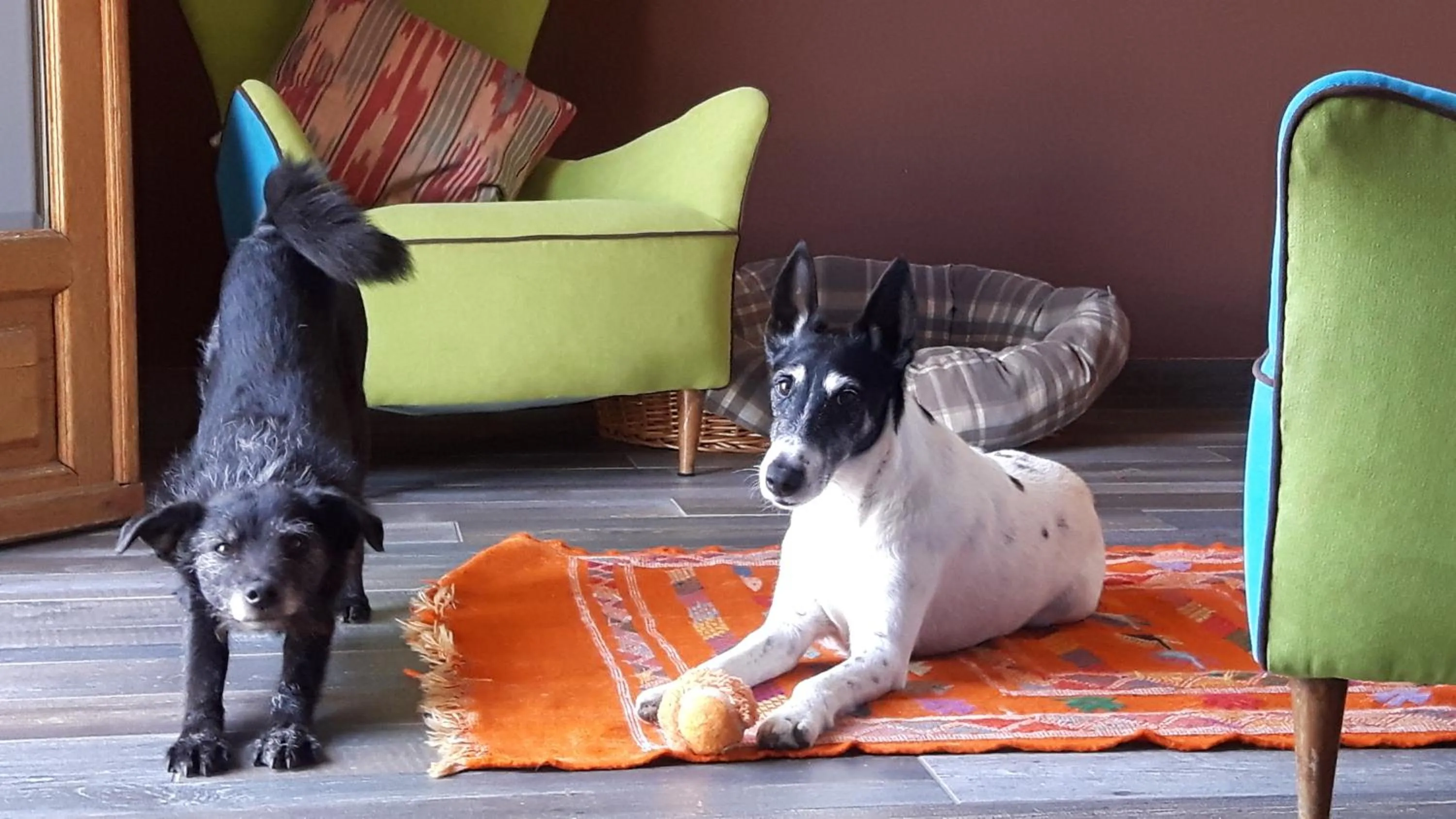 Staff in Villa Borgo Duino