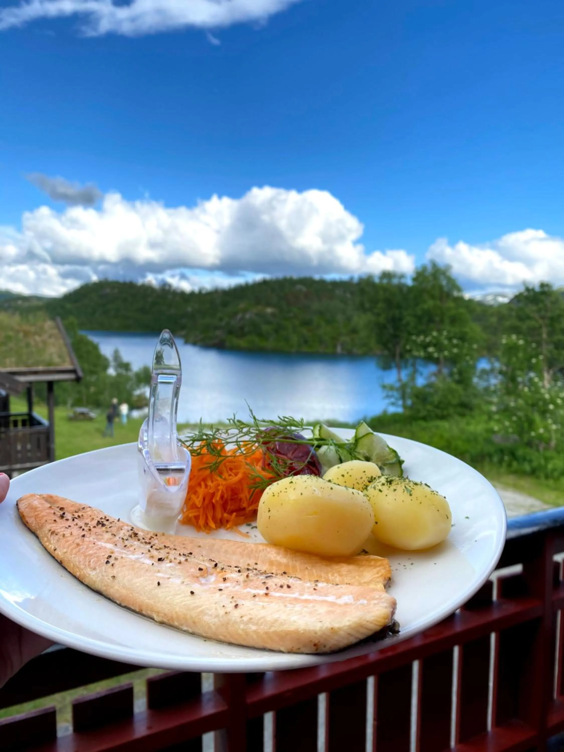 Food in Vågslidtun Hotel