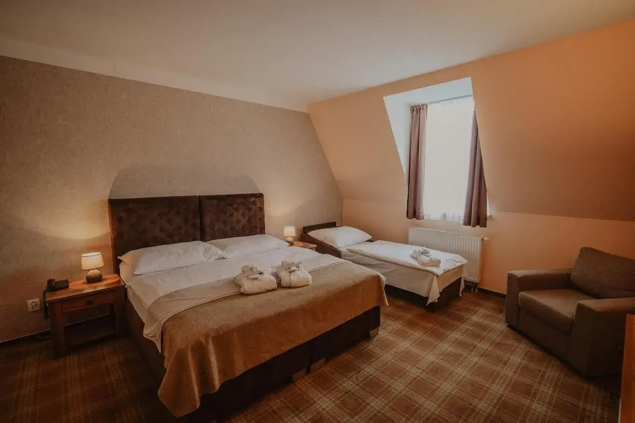 Standard Double Room in Hotel Solisko Standard Double Room in Hotel Solisko