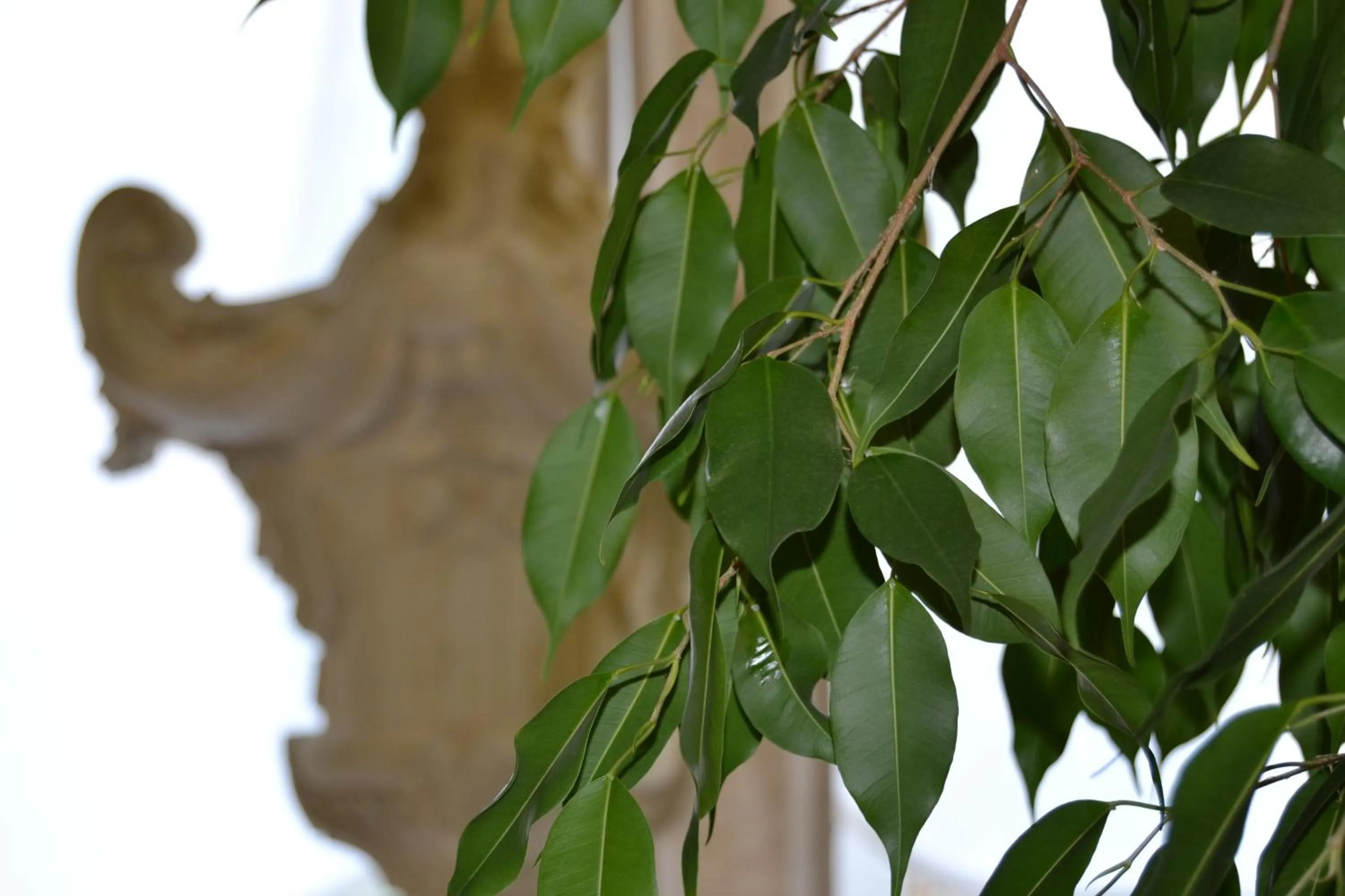 Other in Hotel Due Leoni