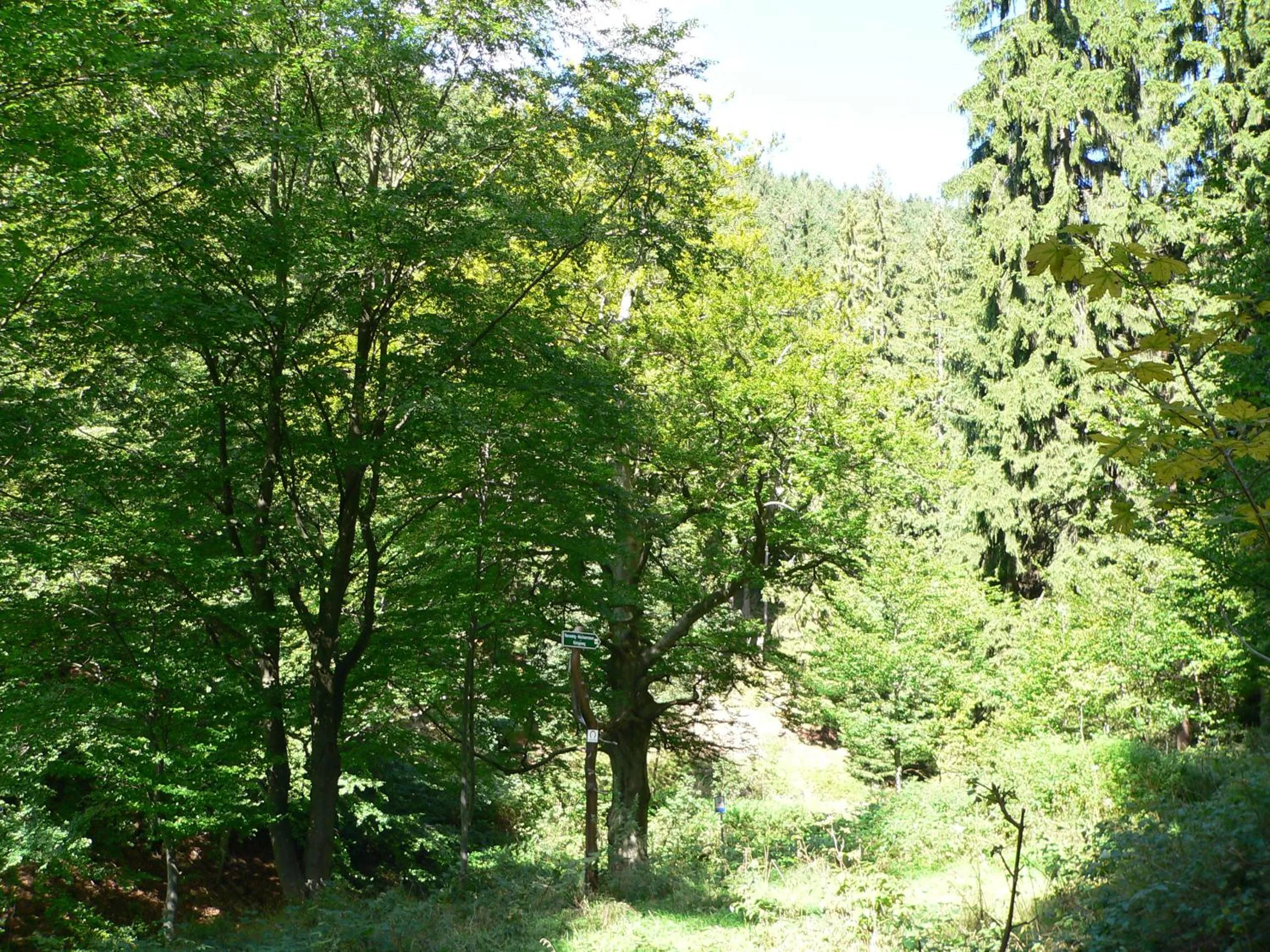 Off site in Gasthaus&Pension "Grünes Herz"