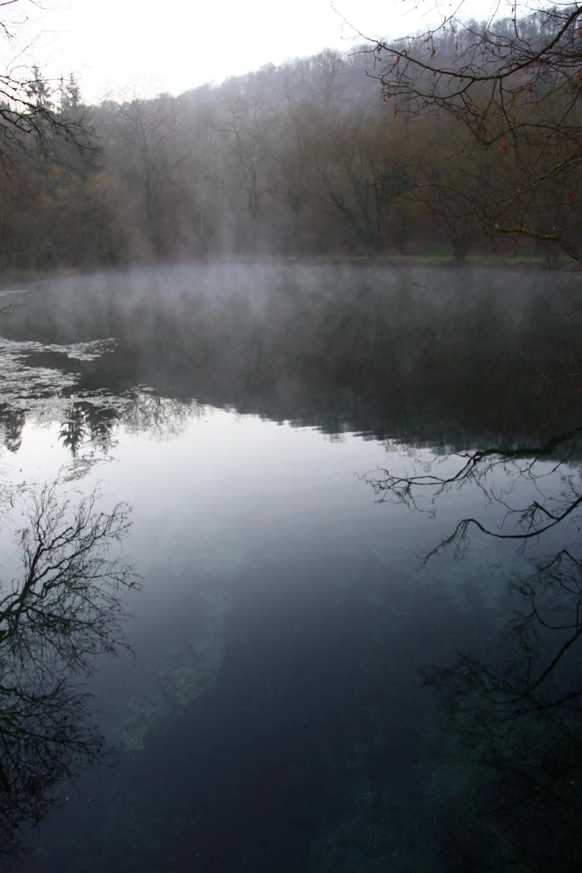 Area and facilities in Logis La Source Bleue