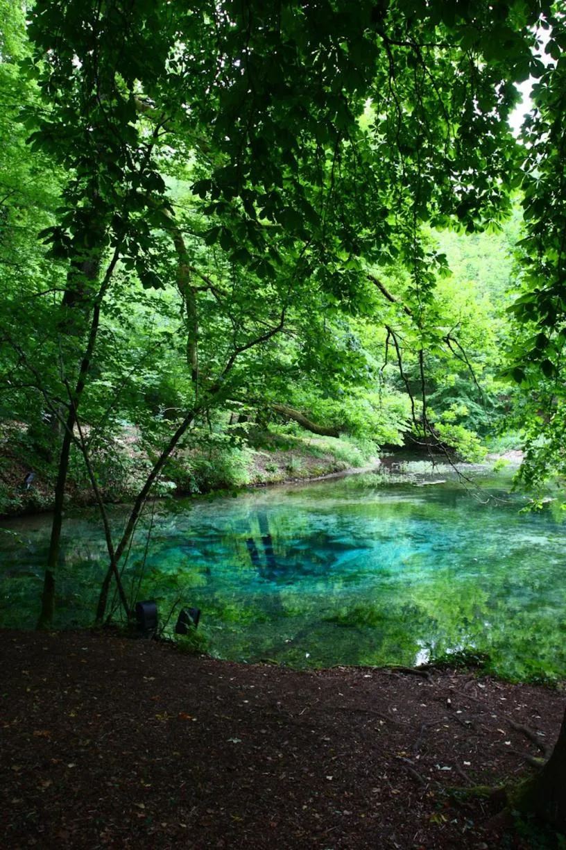 Area and facilities in Logis La Source Bleue