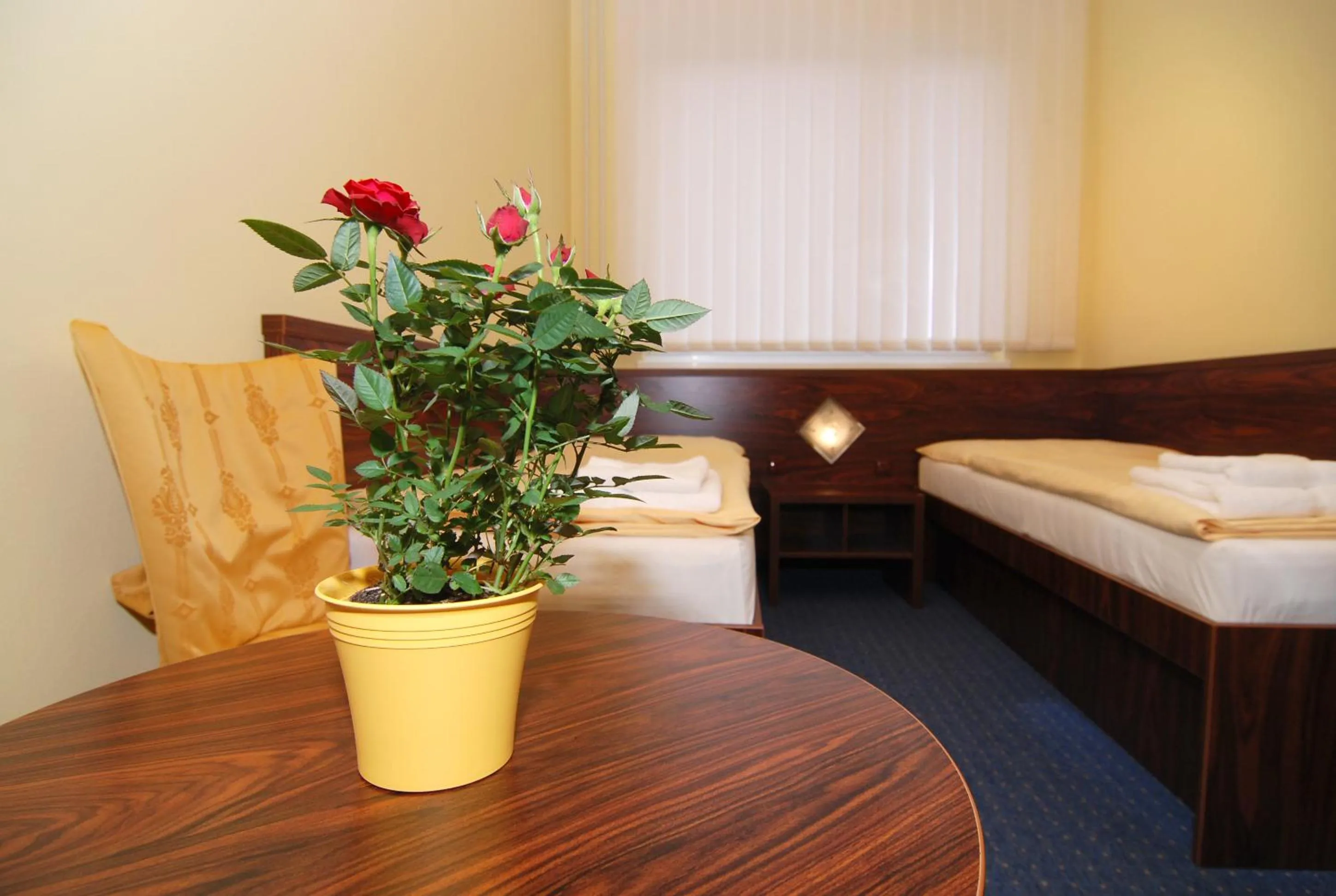 Bed in Hotel Bila Ruze