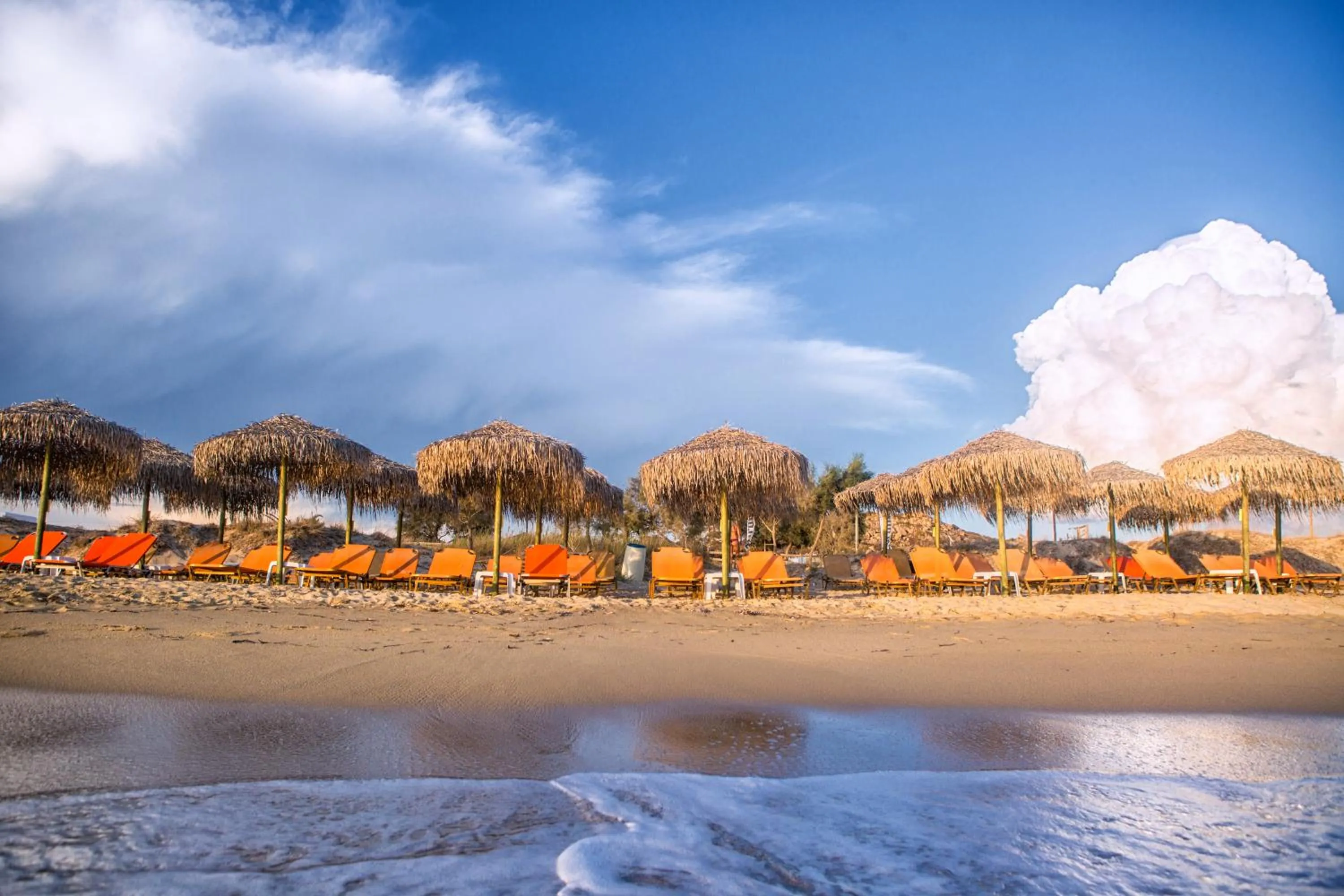 Beach in Plaza Beach Hotel