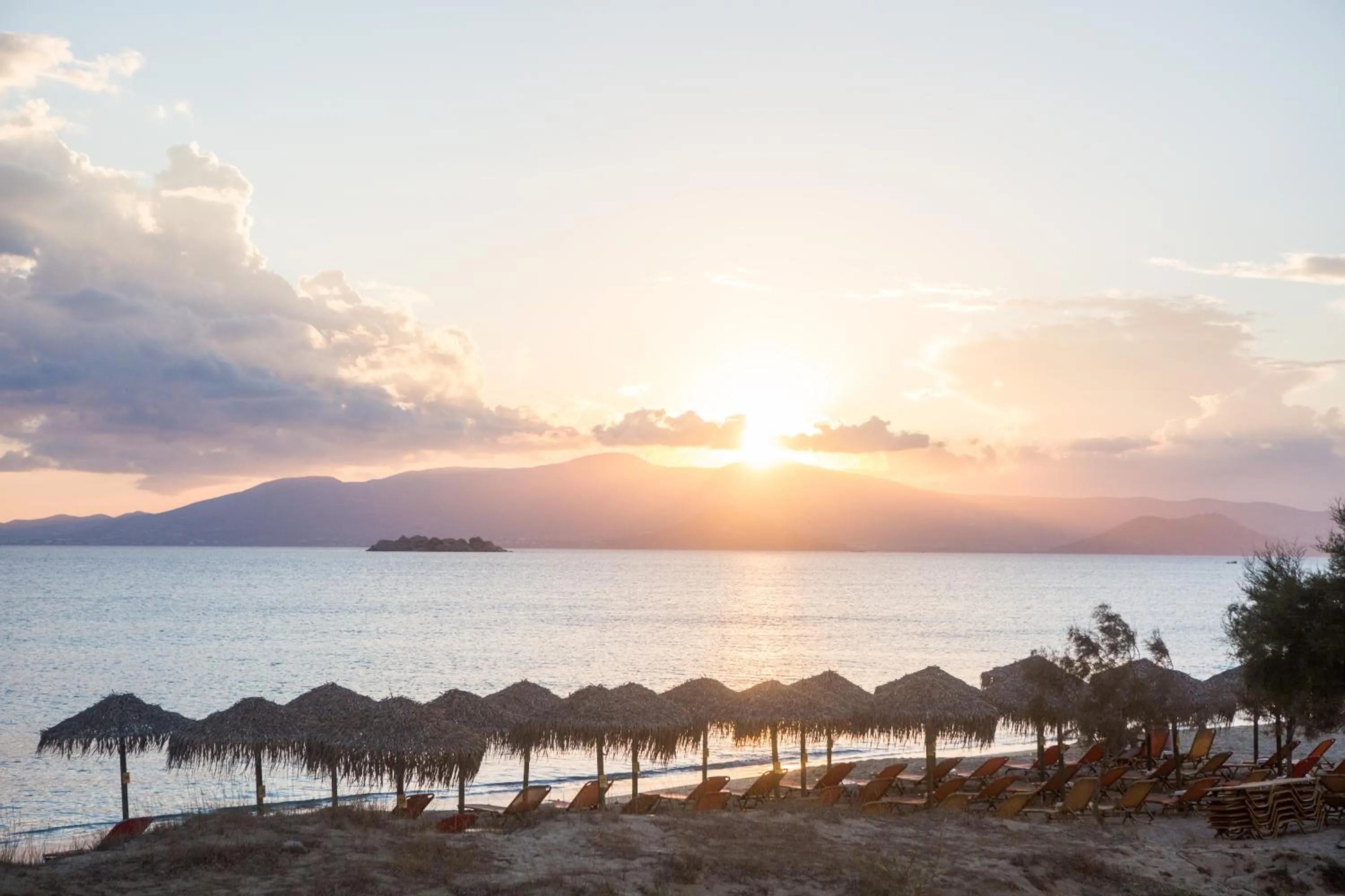Beach in Plaza Beach Hotel