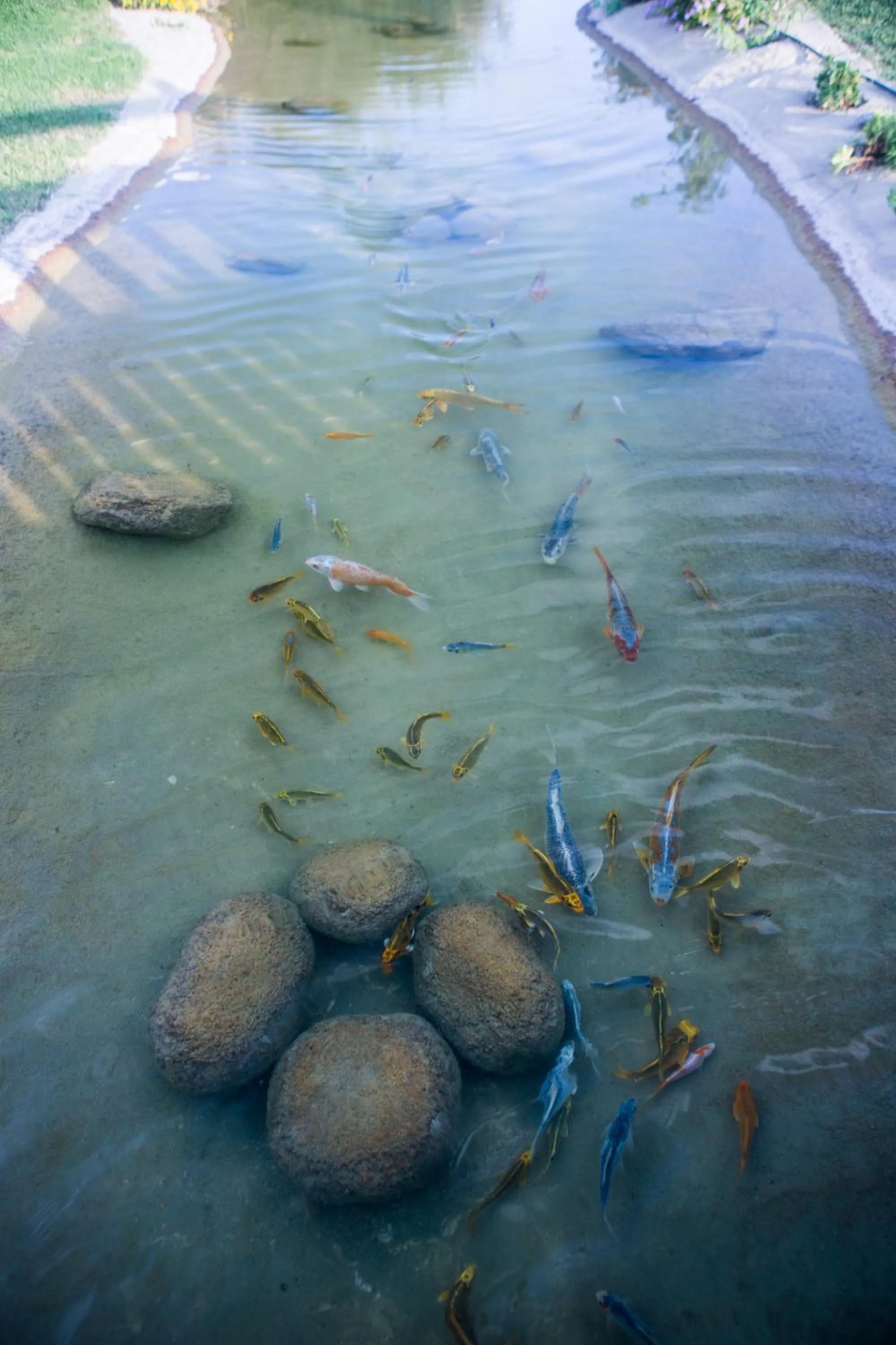 Decorative detail in Plaza Beach Hotel