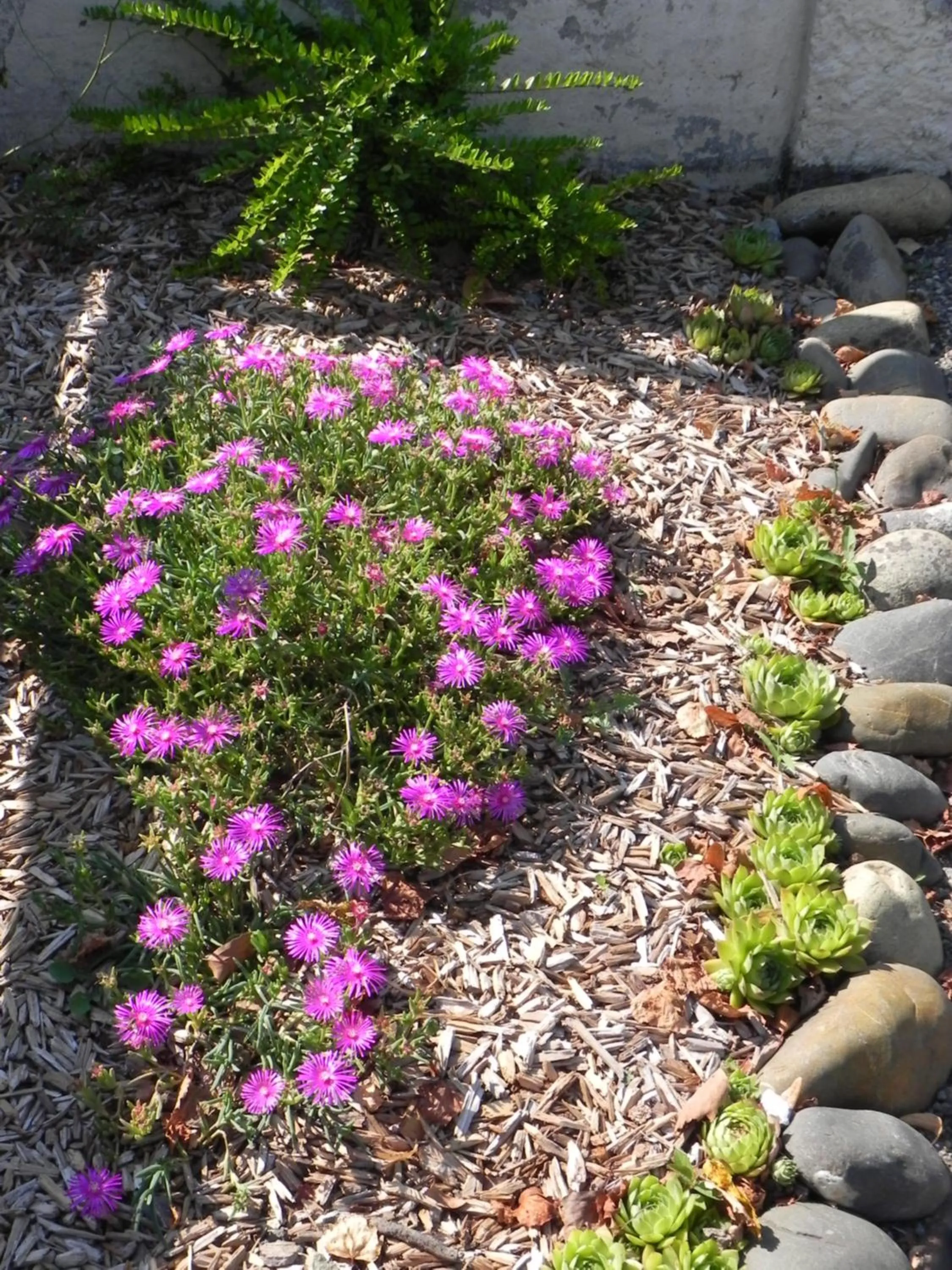 Facade/entrance in La clé de vos Rêves