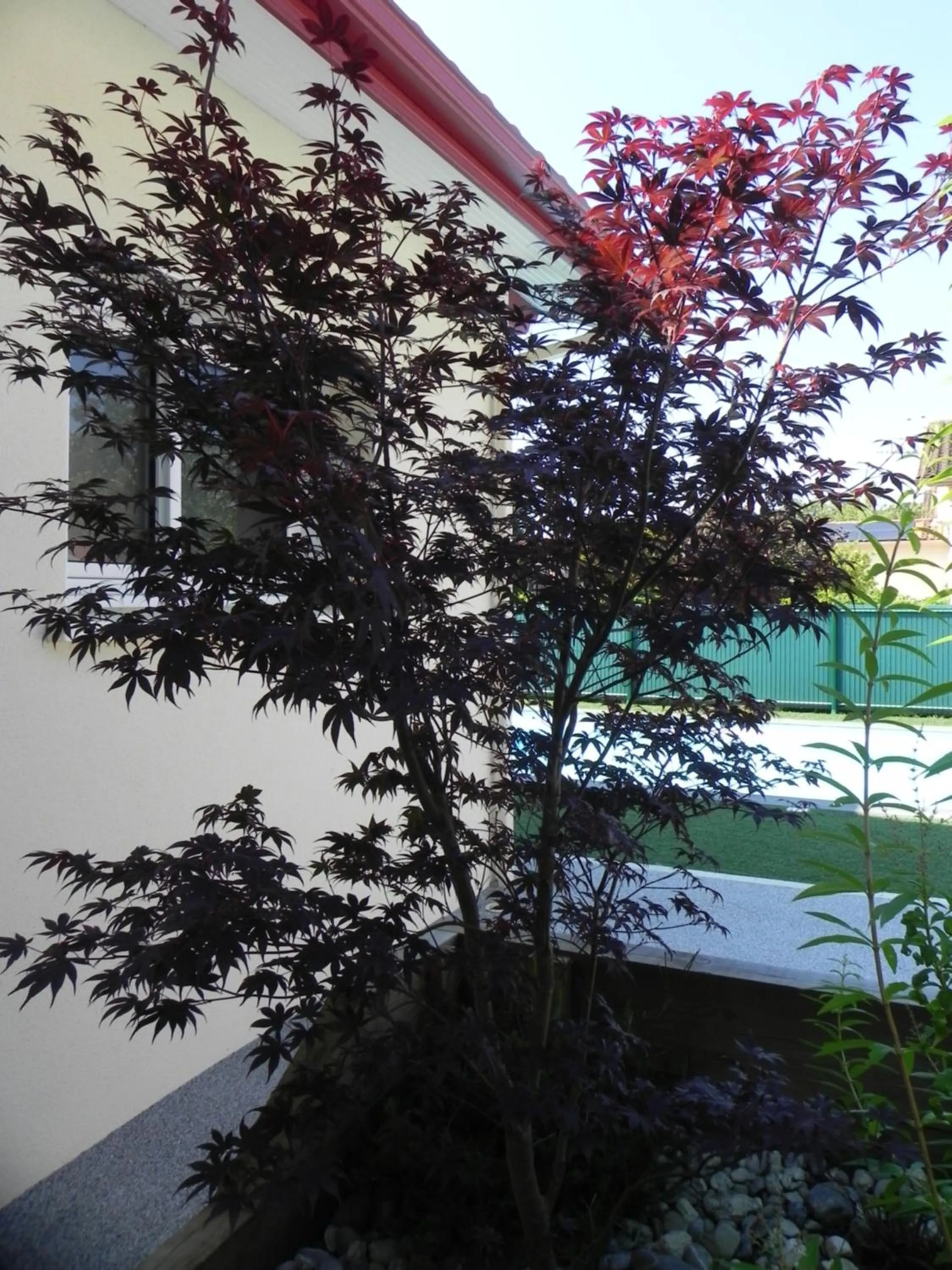 Patio in La clé de vos Rêves