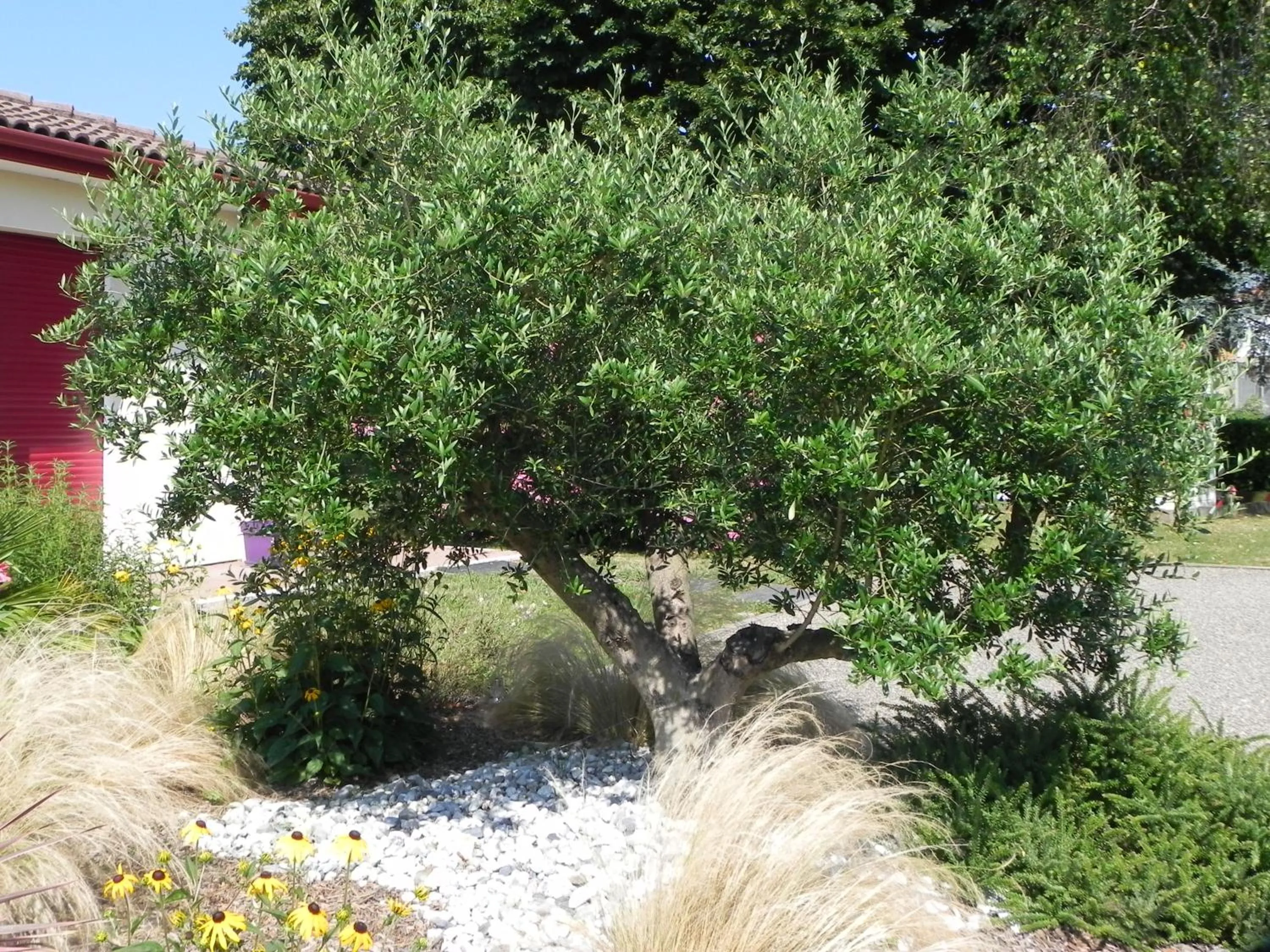 Garden in La clé de vos Rêves