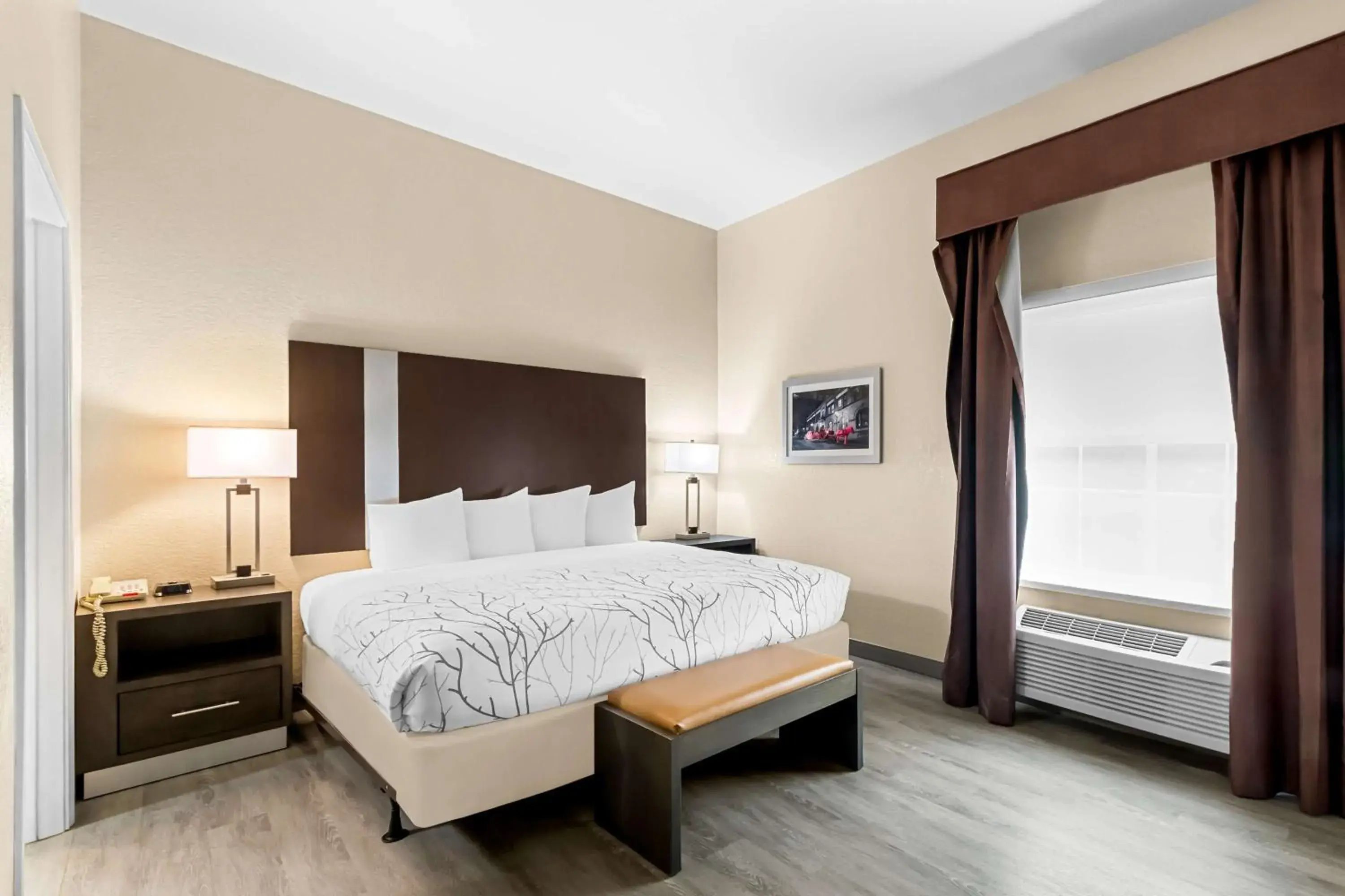 King Suite with Sofa Bed and Roll-In Shower - Disability Access/Non-Smoking in Best Western Boerne Inn & Suites King Suite with Sofa Bed and Roll-In Shower - Disability Access/Non-Smoking in Best Western Boerne Inn & Suites