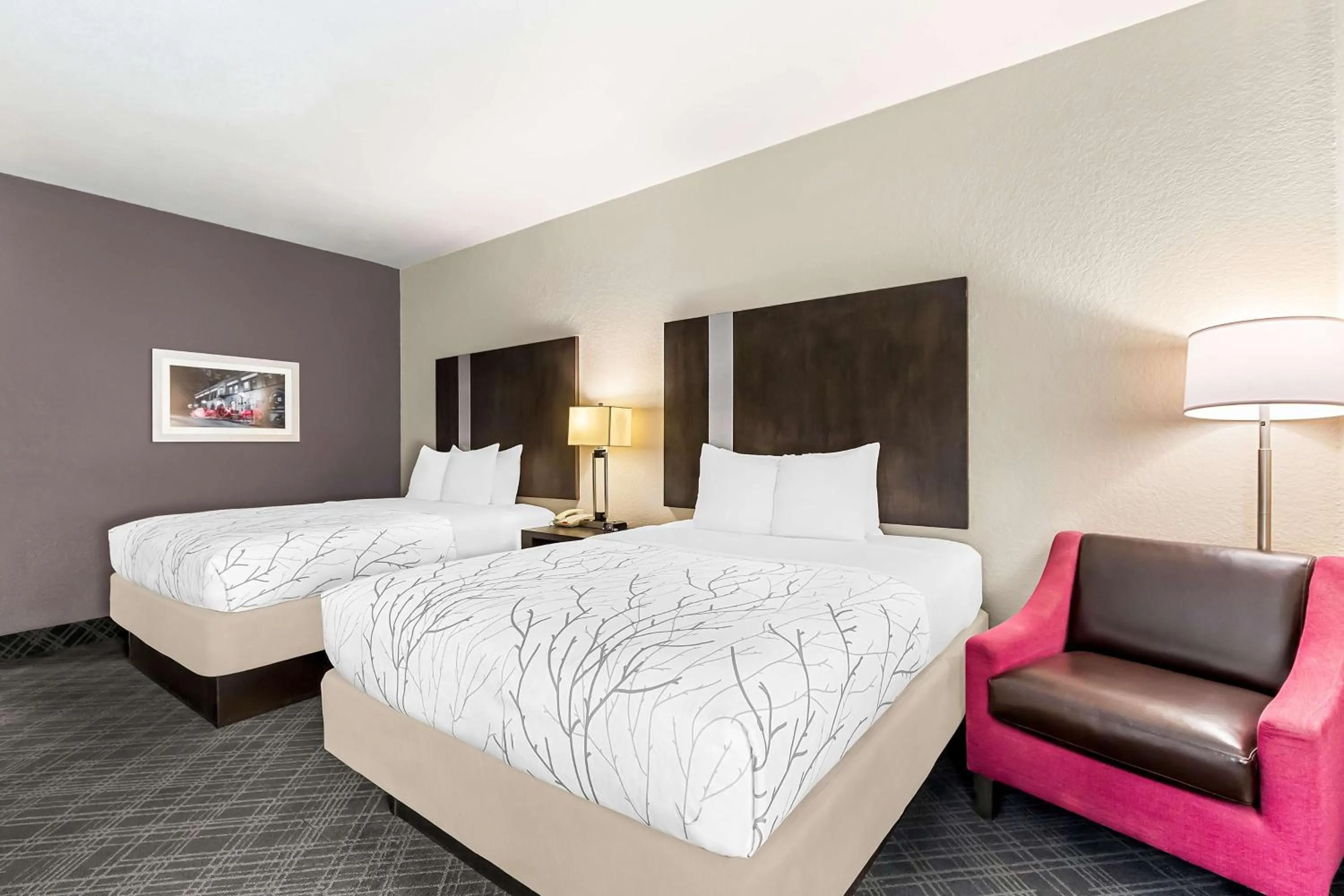 Bedroom, Bed in Best Western Boerne Inn & Suites