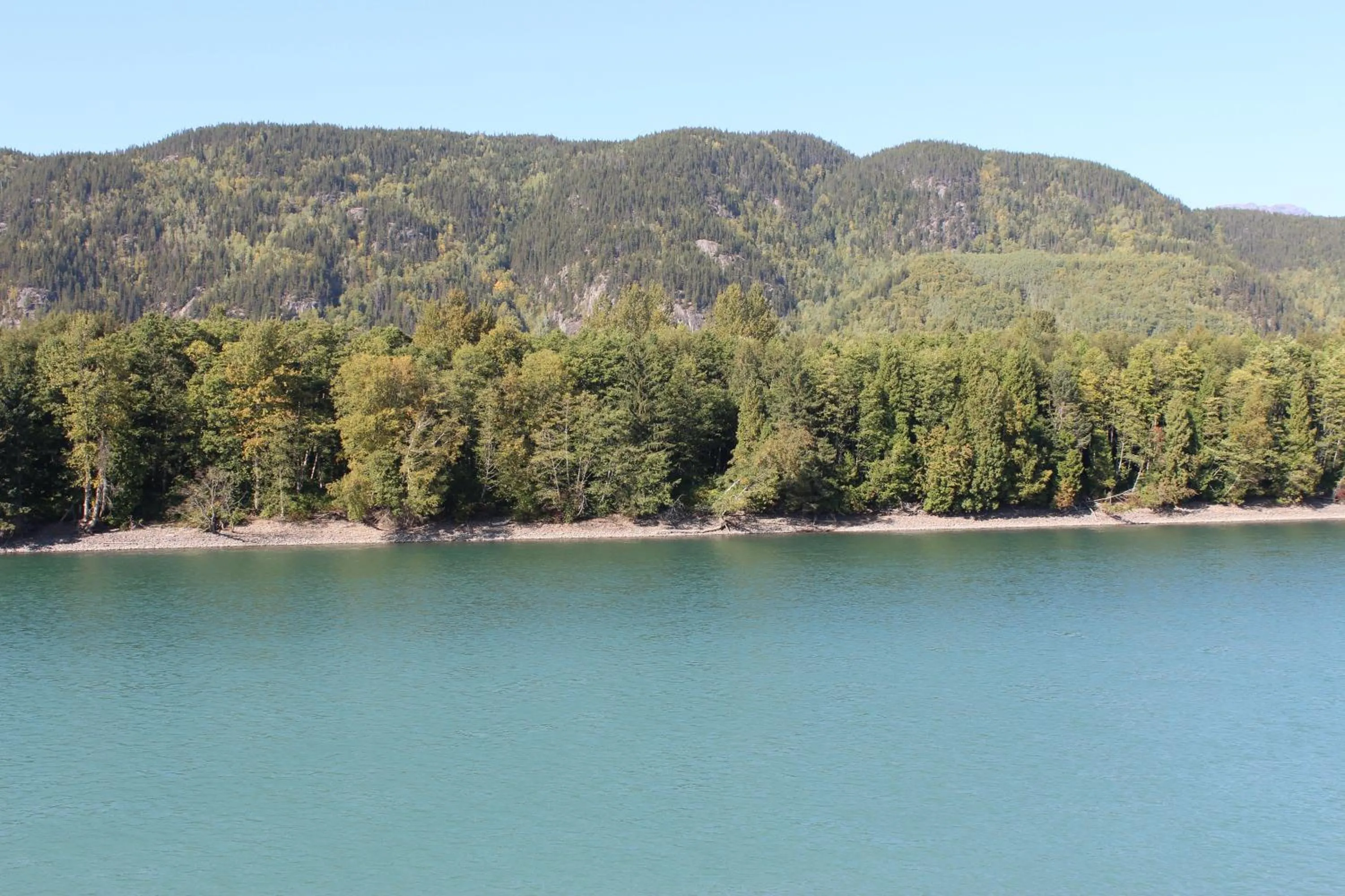River view in Copper River Motel