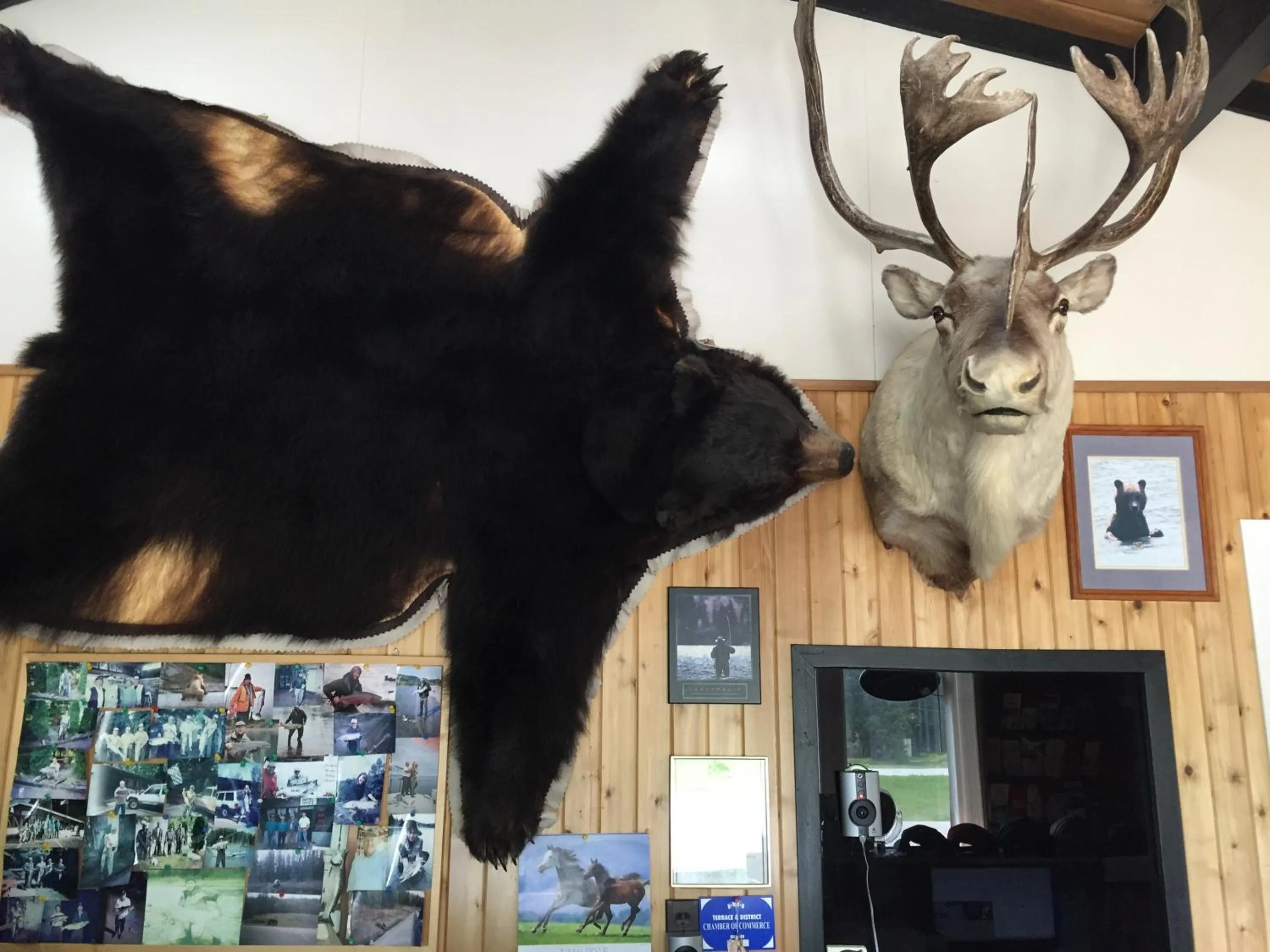 Lobby or reception in Copper River Motel