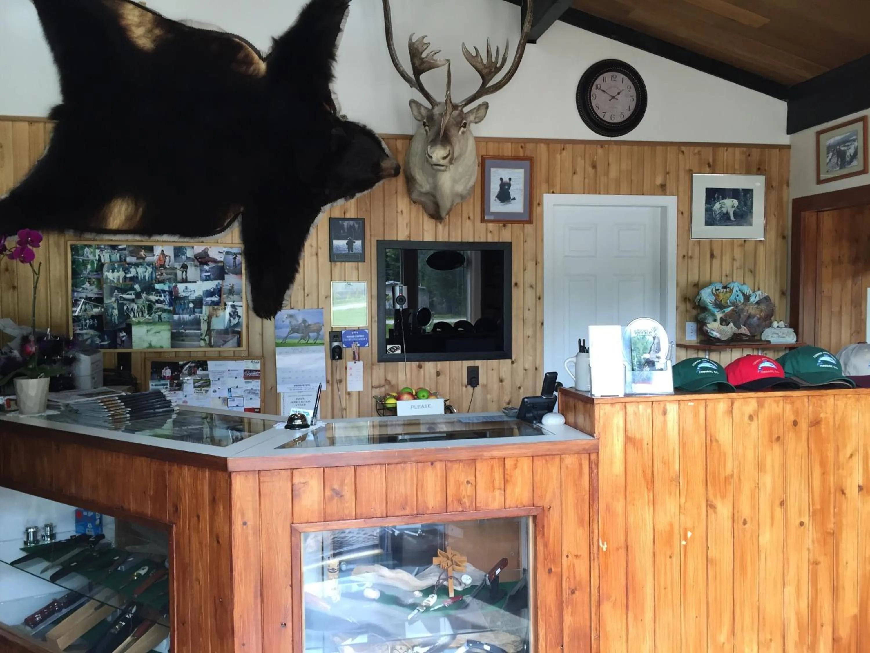 Lobby or reception in Copper River Motel