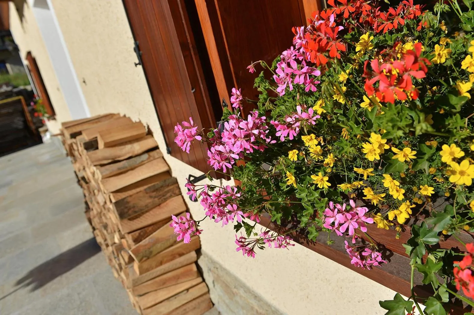 Garden in Hotel San Giovanni