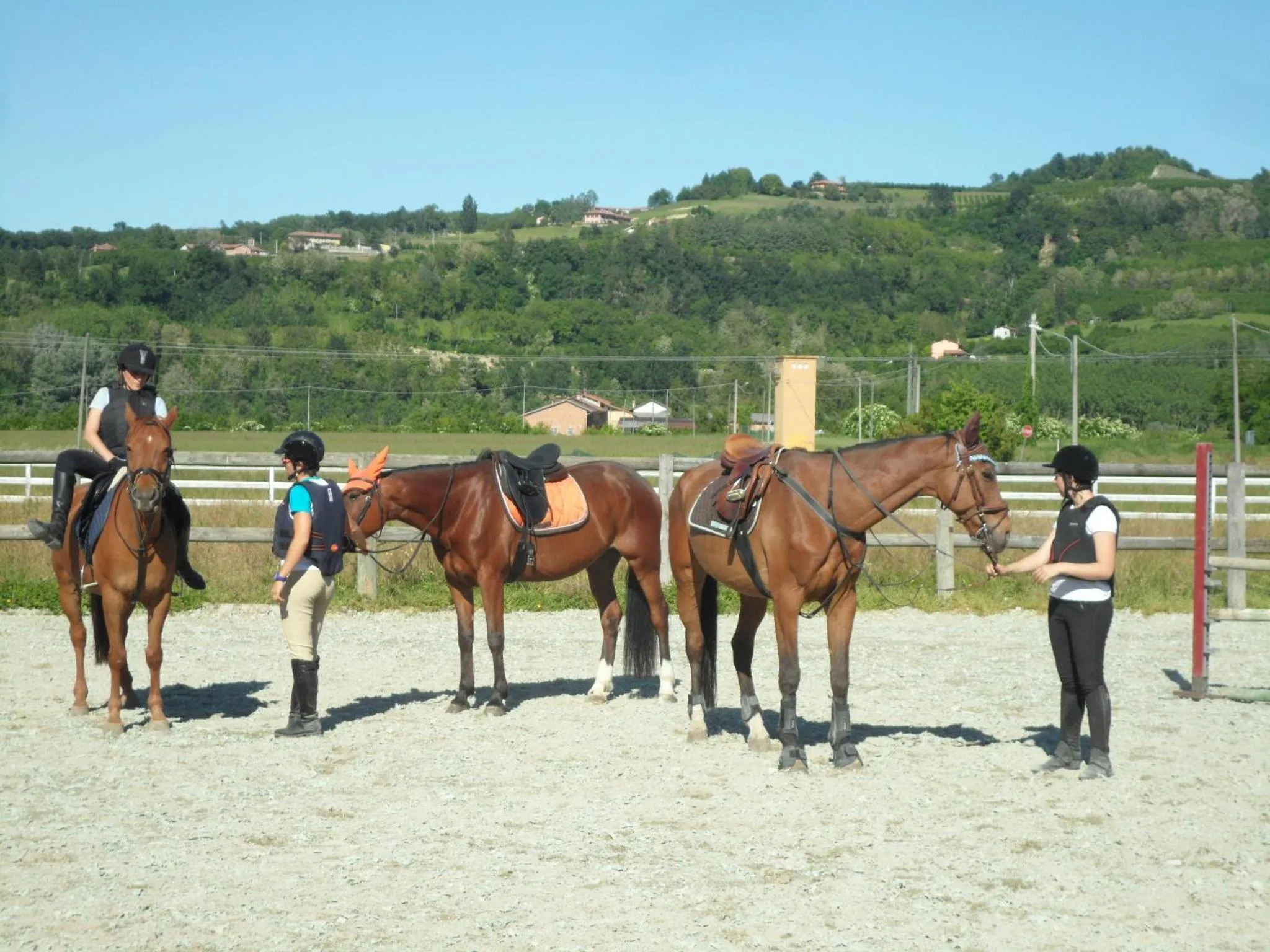 Horse-riding in Agriturismo Isorella