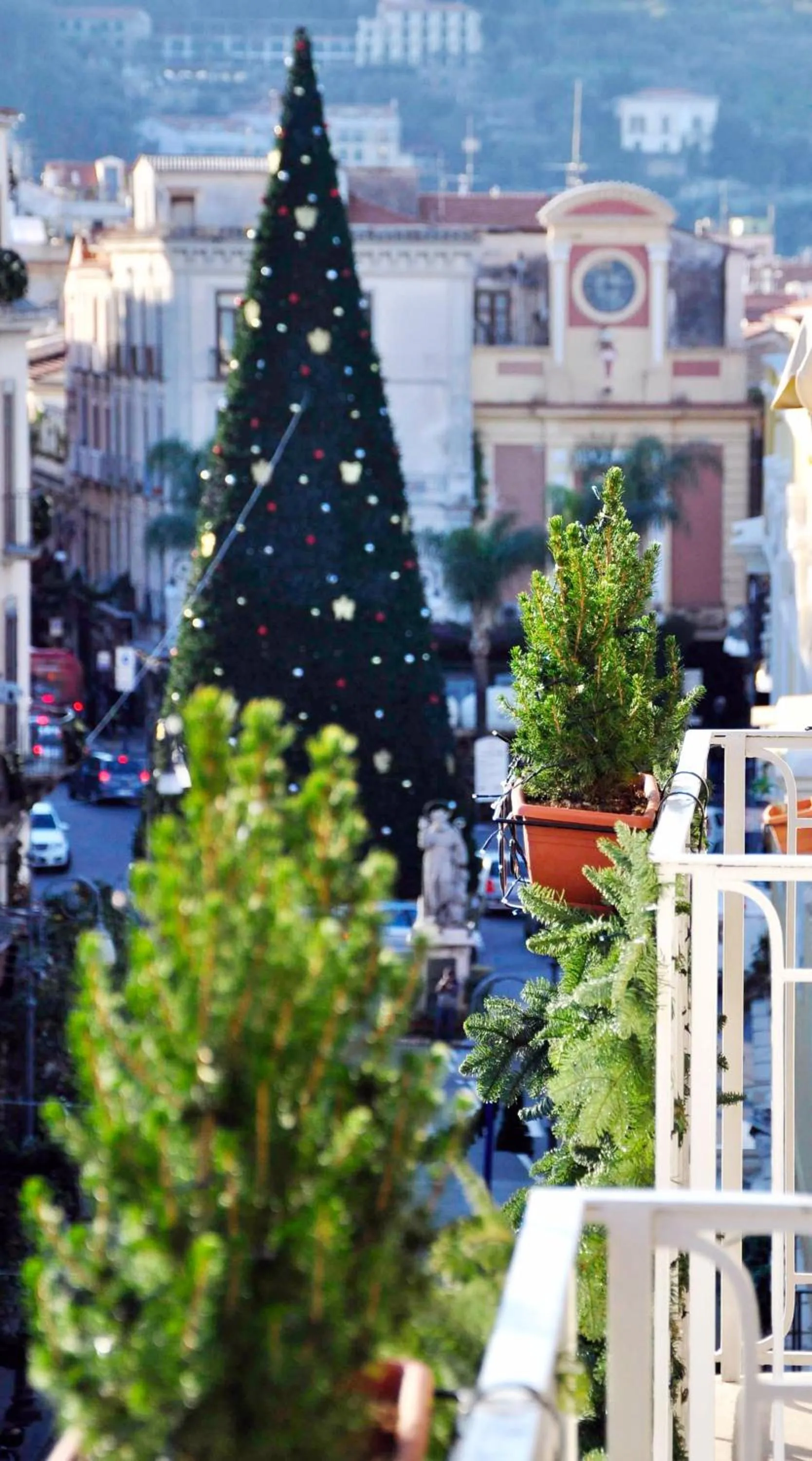 Day in Sorrento Flats