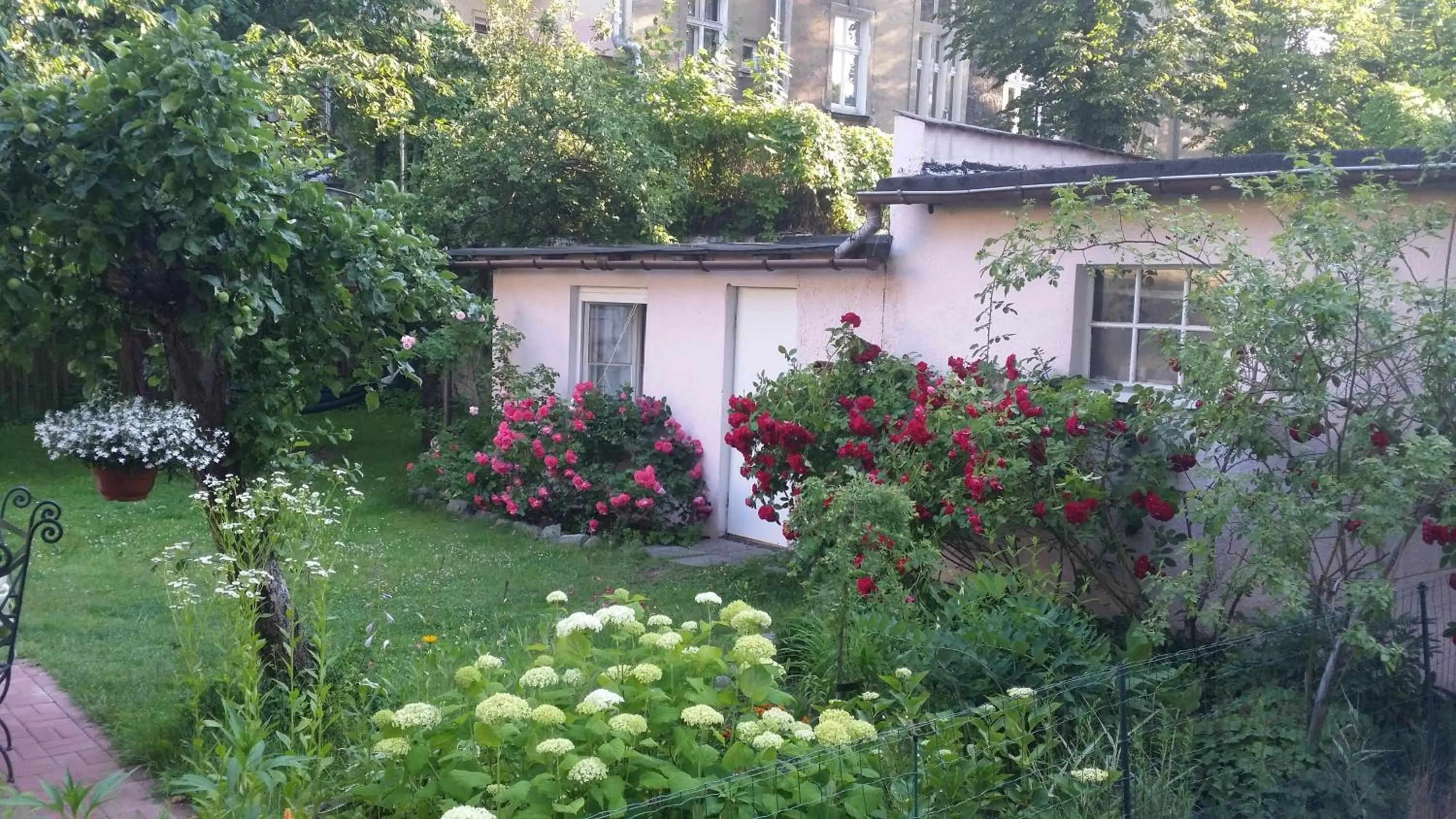 Garden in Hostelino