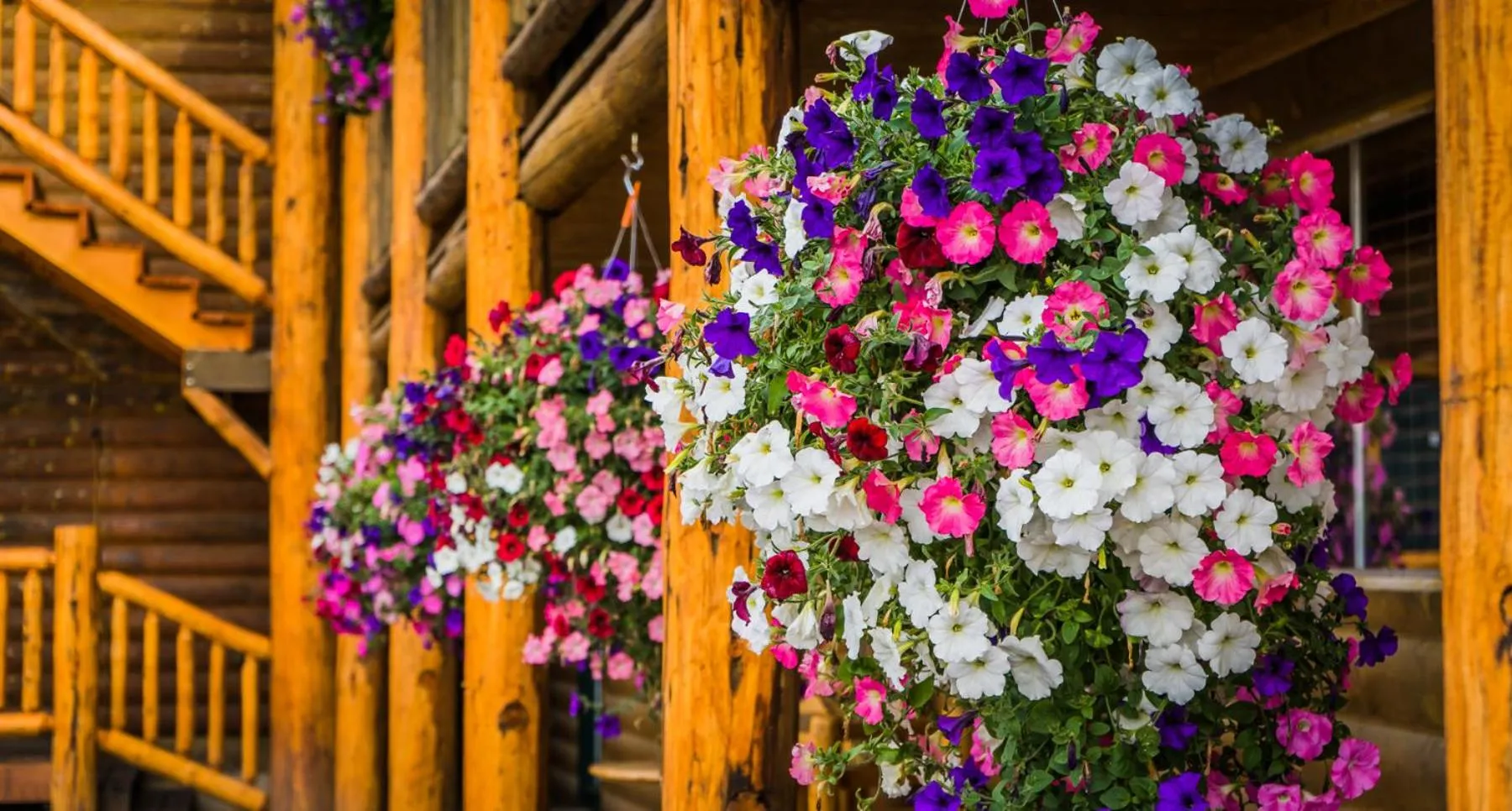 Property building in River Lodge