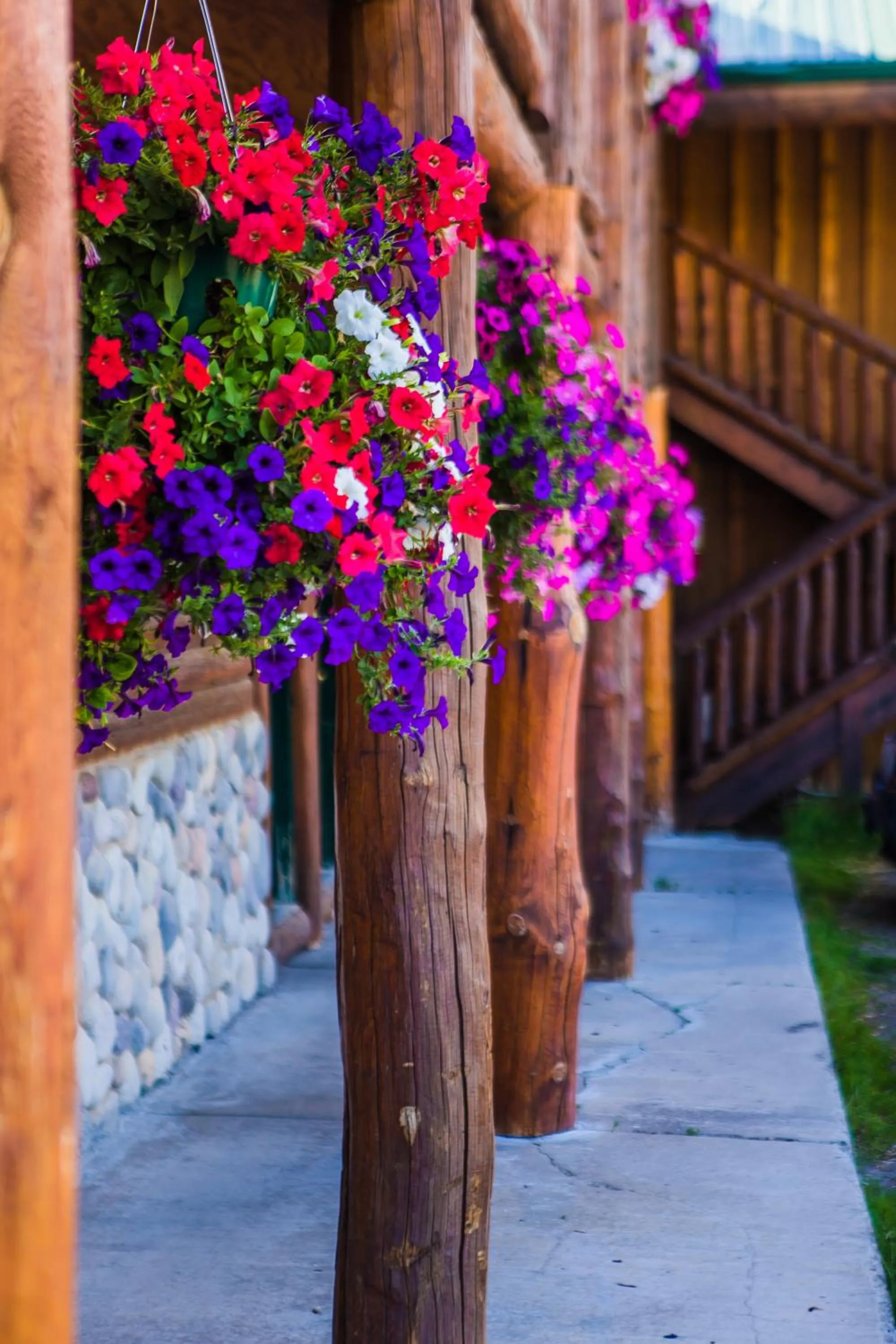 Property building in River Lodge